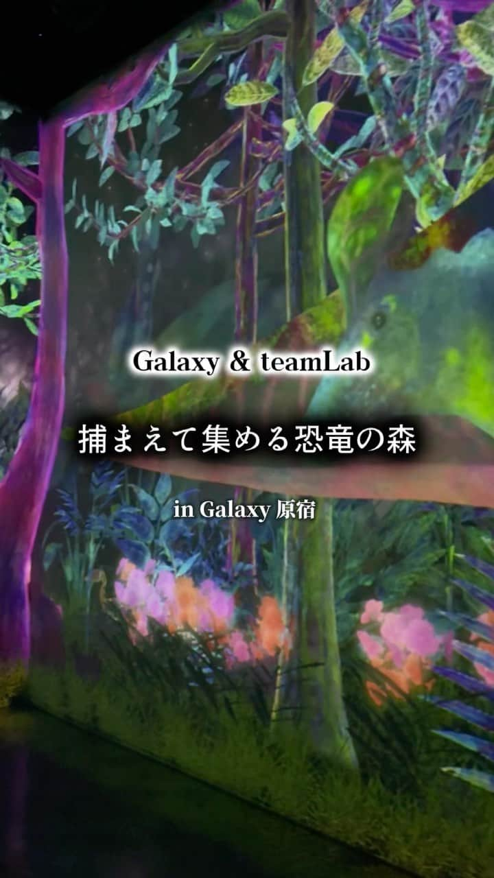 笛木陽子のインスタグラム：「\入場料無料/ 太古の恐竜を捕まえて集めよう🦕💫 ㅤㅤㅤㅤㅤㅤㅤㅤㅤㅤㅤㅤㅤ Galaxy × teamLab がコラボした体験空間！ 11月17日にアップデートされて恐竜が増えたよ🪐 ㅤㅤㅤㅤㅤㅤㅤㅤㅤㅤㅤㅤㅤ Galaxyの最新スマホを貸し出ししてくれるので それを使って自分だけのコレクション図鑑が出来ます📚 ナイトモードで撮影した写真も1人6枚まで貰えちゃうˎˊ˗  場所📍Galaxy 原宿　 明治神宮前〈 原宿〉駅 5番出口より徒歩3分 ㅤㅤㅤㅤㅤㅤㅤㅤㅤㅤㅤㅤㅤㅤㅤㅤㅤㅤㅤㅤㅤㅤㅤㅤㅤㅤ 雨の日の遊び場スポットにもおすすめだよ〜！🦖 ㅤㅤㅤㅤㅤㅤㅤㅤㅤㅤㅤㅤㅤ #PR#teamlabgalaxy#galaxyharajuku#teamlab#捕まえて集める恐竜の森#子連れお出かけ#子連れお出かけスポット#男の子ママ」