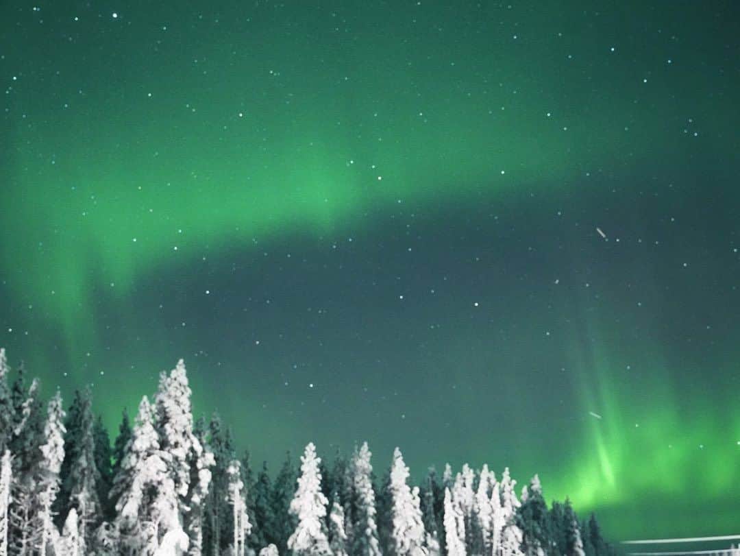 佐々木明さんのインスタグラム写真 - (佐々木明Instagram)「visiting Finland in a long while about 10 years, I crossed over the Arctic Circle, there was a miraculous light.Give thanks for beautiful life.  🇫🇮   南から北上し北極圏のライン150キロほど手前から 広がり方の様子が変わる北欧の森🇸🇪🇫🇮  まるで別世界。日本で生まれ育って日本のように素晴らしい四季折々の木々草花、多様な生き物がいるのが当たり前に感じている僕は、生きる為に努力しているなって感じる極寒の風にさらされる木々や土、エルクやトナカイをみては 自然で生きるってすごい事だなと感心と感動の連続でした。  マイナス25度にもなる中で ガタガタと震えながら居ると少し背中が丸まって 下を見てしまうもの そんな中で練習に没頭しつつ 少し身体の力を緩めると背中の筋肉が緩み 頭が上がってその目線の先には光の高さが背の丈ほどに感じて 淡い光が優しく森を照らす心豊かになる 景色が広がっていました。  寒いからこそ感じる瞬間 寒いからこそ暖に感謝できて 寒いからこそ薪の有り難みを感じて 寒いからこそウォーミングアップめちゃくちゃ大事と  このスカンジナビアキャンプでも改めて基本を学べた時間となりました。  暗い中こそ頭を上げて目をゆっくり凝らしてみると 目が慣れてしっかりとオーロラの下で北極圏を満喫できたのも良い時間です。」11月23日 18時58分 - akiraexploring