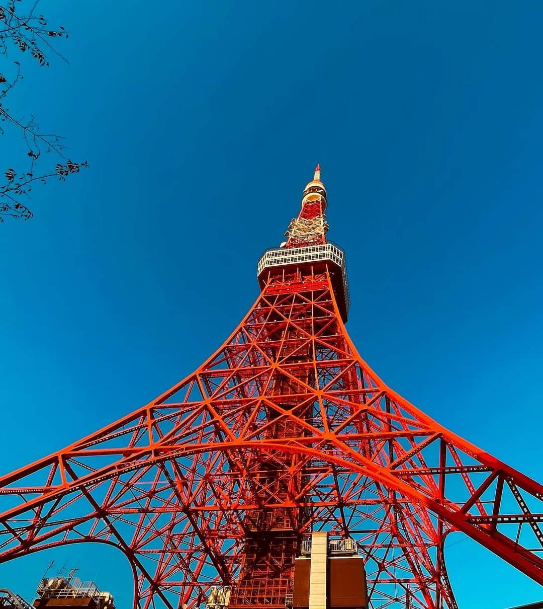 マイケル富岡さんのインスタグラム写真 - (マイケル富岡Instagram)「Tokyo Tower night & day マイケルは近くで撮影♡ #東京タワー #撮影 #マイケル #マイケル富岡 #tokyotower #shooting #actor #actorslife #love #showtime #kirakira #ready #action」11月23日 18時51分 - michaeltomioka