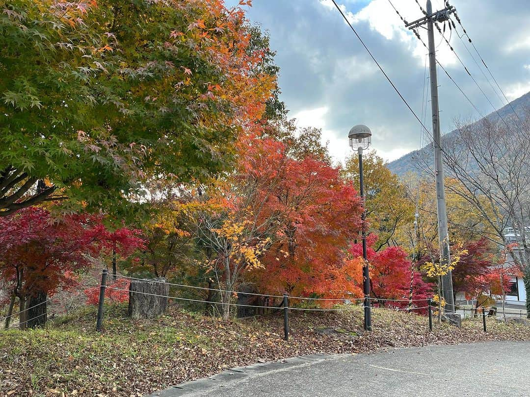 丹波焼の郷（公式）さんのインスタグラム写真 - (丹波焼の郷（公式）Instagram)「. 本日の陶の郷、園内の紅葉です🍁  お客様からお問合せを多くいただいております。見頃は終わりつつありますが、まだまだ綺麗ですね😊  #陶の郷 #紅葉 #丹波篠山市 #陶器 #器好きな人と繋がりたい  #器 #陶芸教室 #関西ドライブ」11月23日 13時37分 - tanbayaki_official