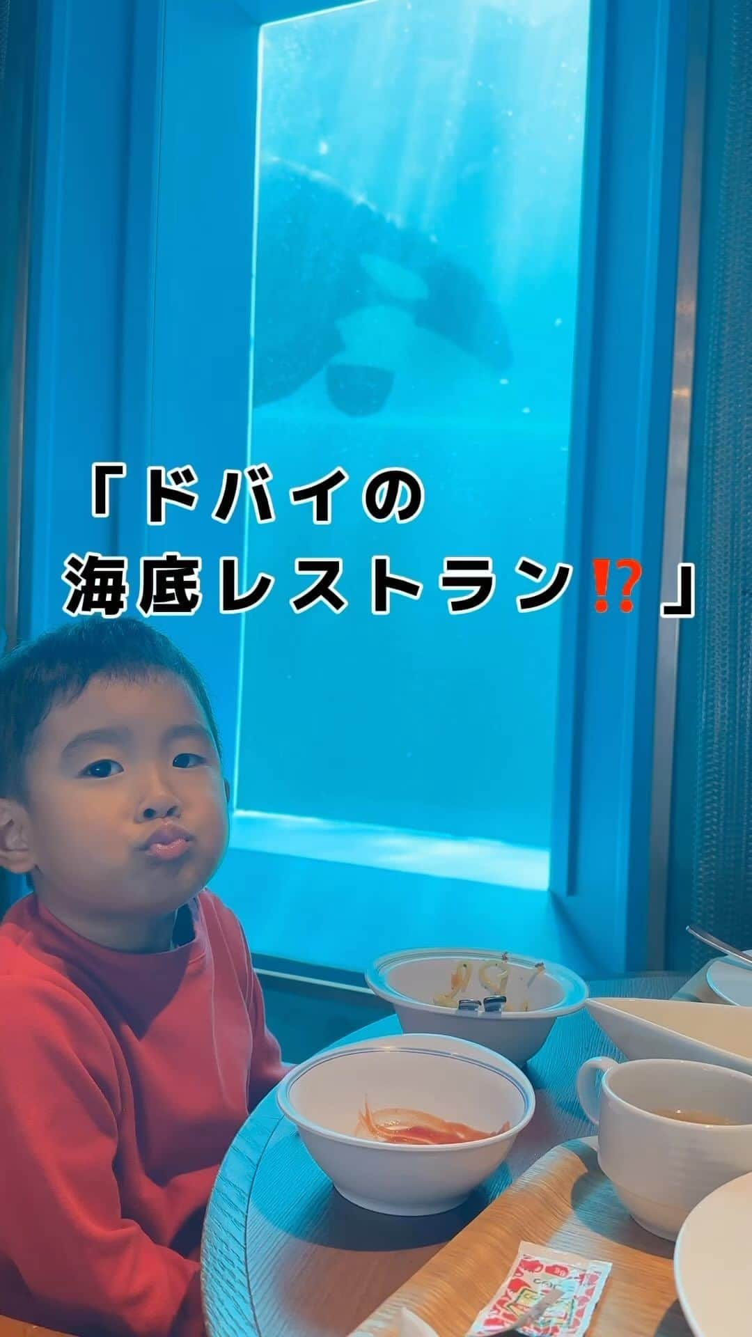 伊藤春香のインスタグラム：「思い出に残るご飯が出来るオススメの場所☺️水槽の近くの席は少し待ったけど（祝日前日のお昼時で30分ほど）追加料金などはナシでした。  #子連れお出かけ記録はあちゅう @ha_chu  息子とのお出かけ記録用ハッシュタグです。   #鴨川シーワールド #鴨川 #子連れお出かけ #デートスポット」