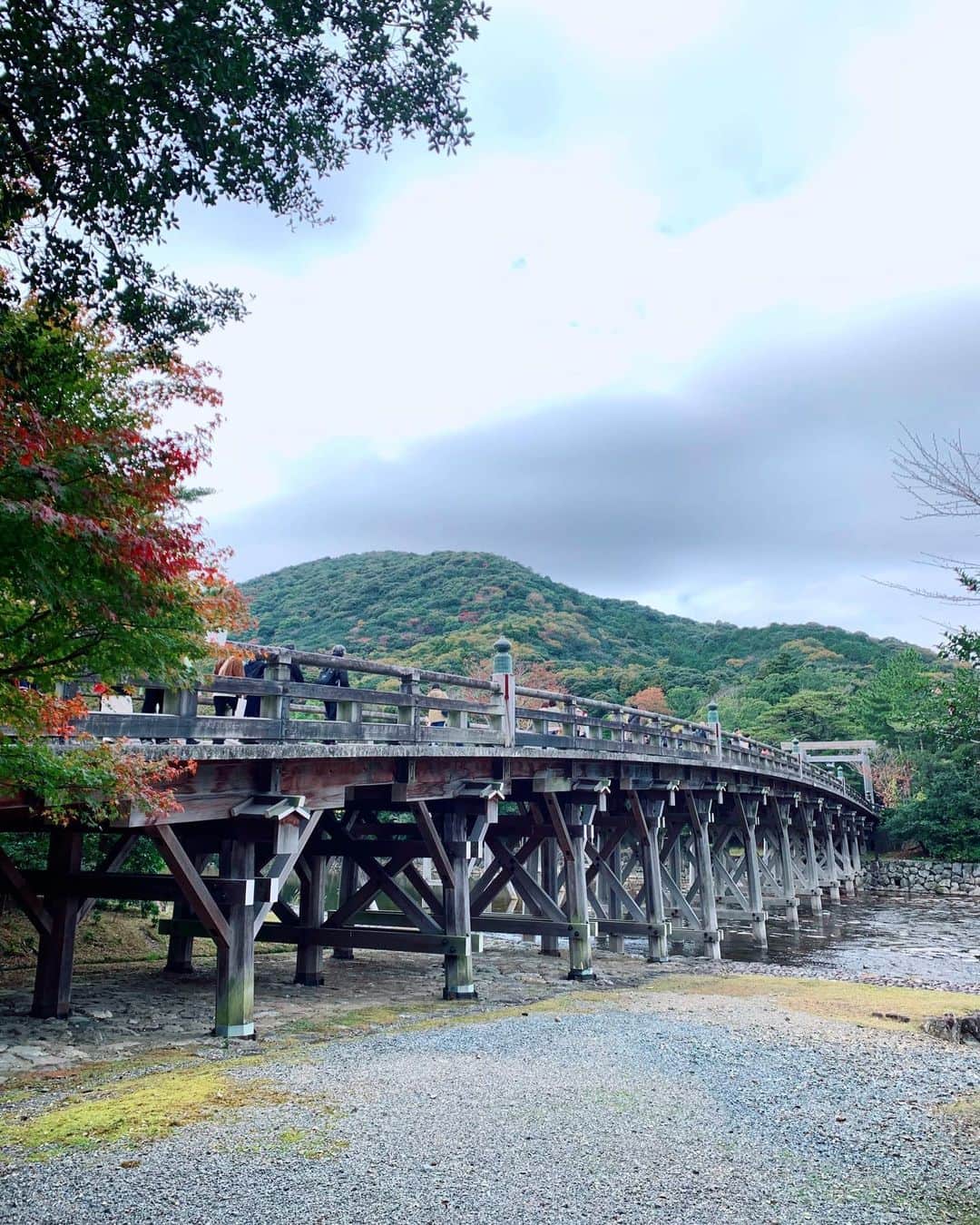 白葉まりさんのインスタグラム写真 - (白葉まりInstagram)「お伊勢旅行😊⛩♨️ 漫喫したー！伊勢神宮の神聖な雰囲気にただただ圧倒された🌳 . . . #ファンティア #温泉 お伊勢パワー纏う✨温泉入浴ショットはファンティアファンサイトにてアップしました🫣💕見たら運気あがるかもー😏  私のインスタプロフィール固定リンクから飛んで見られます❤︎ . . . . . #温泉旅行 #貸切露天風呂 #温泉女子 #温泉モデル #貸切風呂 #入浴 #ビジョビ #伊勢 #伊勢神宮 #伊勢グルメ #おかげ横丁 #松阪牛 #猫 #グラビア #インスタグラビア #onsen #hotsprings #japan #japanesegirl #japanesefood #trip #goodmorning」11月23日 14時42分 - shirahamari