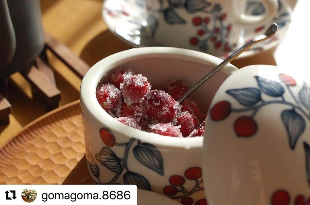 Scopeのインスタグラム：「生クランベリーが 手に入るのは今の季節だけだそうで、 運良く出会えたら作ってみたいレシピ ナンバーワンになりました。  ネット検索では、この時期だけ コストコに入荷するような情報を 見かけましたが、手に入るお店を ご存知の方いらっしゃれば、 是非教えていただきたいです！  去年投稿してくださった @cottonnile さんの #ルノ日記 から、 @gomagoma.8686 さんへ 繋がルノ❤️  スコープ 酒井  #Repost @gomagoma.8686  ・・・  クランベリーキャンディ ⁡ 数週間前に作ったものの備忘録。 ⁡ ⁡ @cottonnile さんが 昨年投稿していた クランベリーキャンディを拝見して、 「来年、生のクランベリーが 　手に入ったら作ってみよう！」 と、ずっと思っていました。 ⁡ Makanamomさんの作った クランベリーキャンディは 一粒一粒もっと綺麗にお砂糖をまとって、 ルノのジャーに入っていたけれど…。  Makanamomさーん、 こんなのできましたよ〜。  ⁡ 砂糖のジャリジャリした甘さと クランベリーのサクサクした酸っぱさが、とっても美味しい。  後日、食べきれなさそうな分の クランベリーキャンディをジャムに。  ⁡ ⁡ #ルノ日記 #スコープ計画019 #heiniriitahuhta #scope_japan  #昨年のｍａｋａｎａｍｏｍさんのルノ日記を参考にしてみた」
