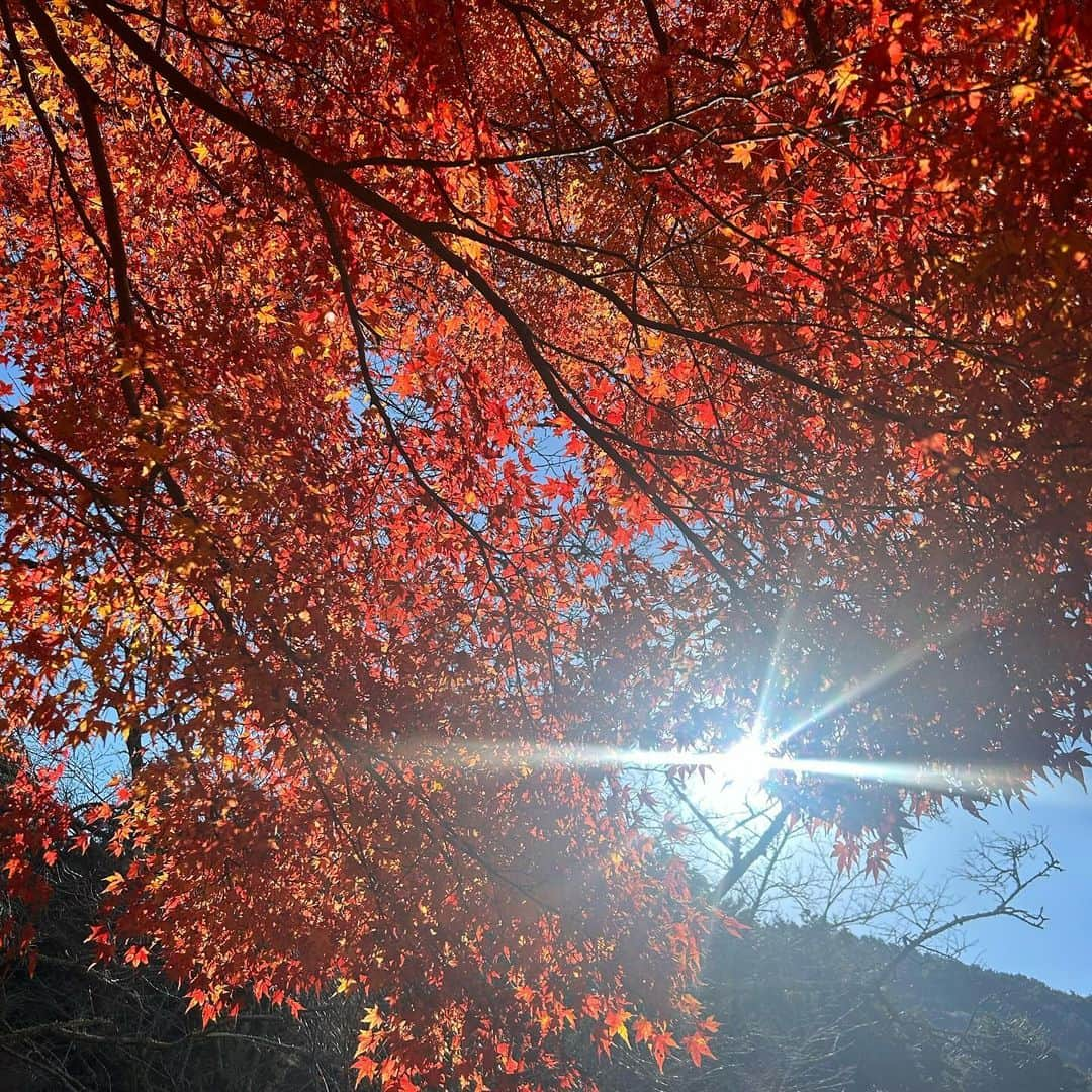 平松修造さんのインスタグラム写真 - (平松修造Instagram)「【愛媛 西予・宇和島釣り旅】 夏休み旅行第一弾✈️ 釣り好きの友人を訪ね愛媛へ 豊後水道で釣り🐟🎣  ご近所付き合いで、 たくさんの素敵なお友達をご紹介してくれました。  水深140mの魚を手動で巻き上げたので、 上半身の筋肉が終了しました。 チカメキントキ初対面。 初めて食べたけど美味しかったなぁ🤤  人生2度目の愛媛でしたが、 魚もお酒も人も最高でした☺️ 本当に愛媛は優しい人しかいなかった。 また必ずいこう🔥また遊んで下さい！  ZIP!には出ておりませんが 楽しく生きておりますので、捜さないで下さい。 さて。次なる目的地へ、、、✈️  #愛媛 #西予 #宇和島 #夏休み #釣り #釣行記」11月23日 15時19分 - shuzohiramatsu_ntv