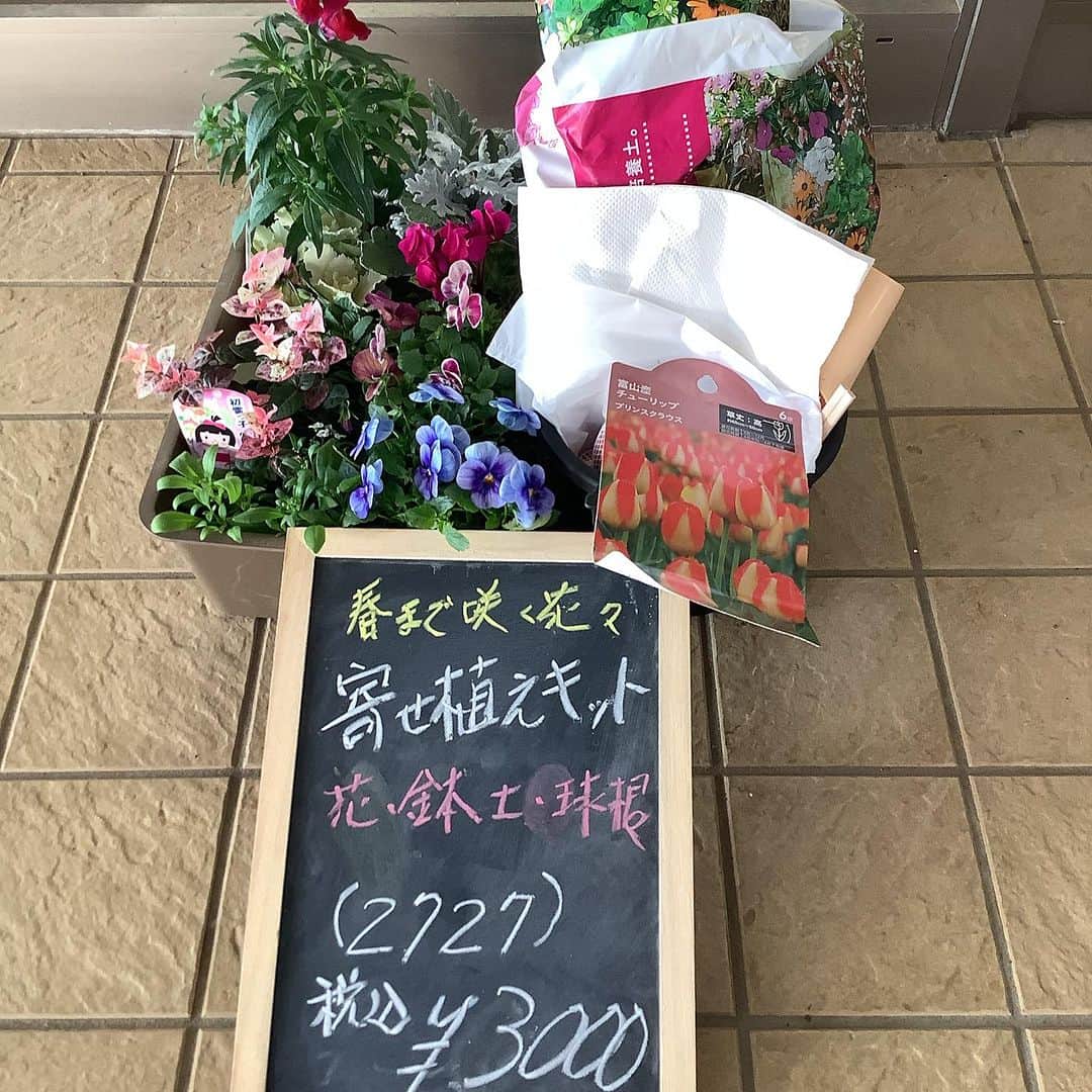 道の駅やちよさんのインスタグラム写真 - (道の駅やちよInstagram)「本日は、季節の花々を使った寄せ植え講座でした。 みなさん素敵な寄せ植えが出来上がり、 写真には写っていませんが、 土の下には、チューリップの球根も植えてあるので、 春になるとお花が入れ替わり、また楽しめるお得な寄せ植えになっています。 ご参加いただいた皆様ありがとうございました😊  そしてなんと👀 このお得な寄せ植えキット限定1セットだけ 「みんなのマルシェ」で只今販売しております。 土まで入っている寄せ植え一式セットなので、お得ですよ😊  #道の駅やちよ #やちよ農業交流センター  #八千代市 #寄せ植え講座」11月23日 15時18分 - michinoeki_yachiyo090720