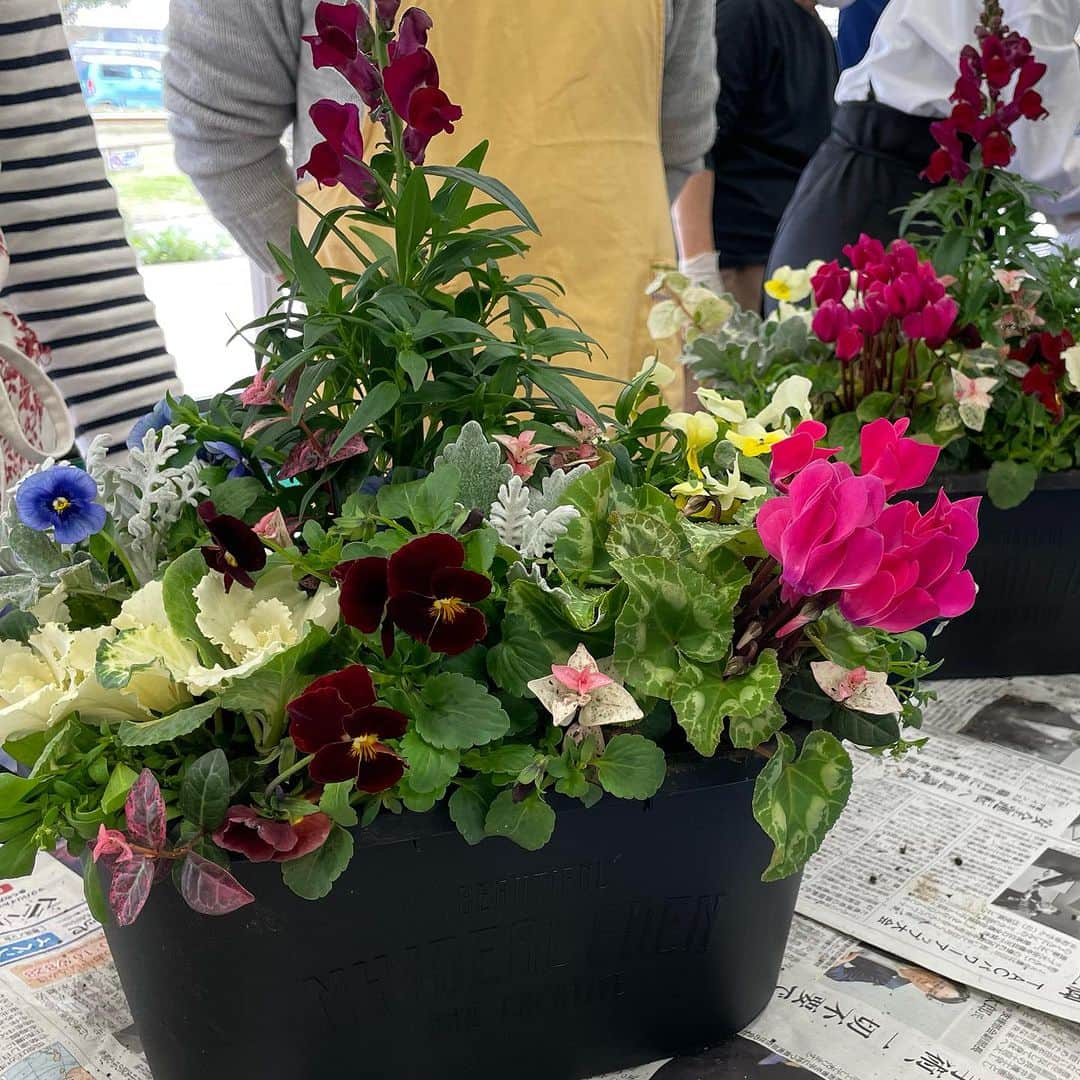 道の駅やちよさんのインスタグラム写真 - (道の駅やちよInstagram)「本日は、季節の花々を使った寄せ植え講座でした。 みなさん素敵な寄せ植えが出来上がり、 写真には写っていませんが、 土の下には、チューリップの球根も植えてあるので、 春になるとお花が入れ替わり、また楽しめるお得な寄せ植えになっています。 ご参加いただいた皆様ありがとうございました😊  そしてなんと👀 このお得な寄せ植えキット限定1セットだけ 「みんなのマルシェ」で只今販売しております。 土まで入っている寄せ植え一式セットなので、お得ですよ😊  #道の駅やちよ #やちよ農業交流センター  #八千代市 #寄せ植え講座」11月23日 15時18分 - michinoeki_yachiyo090720