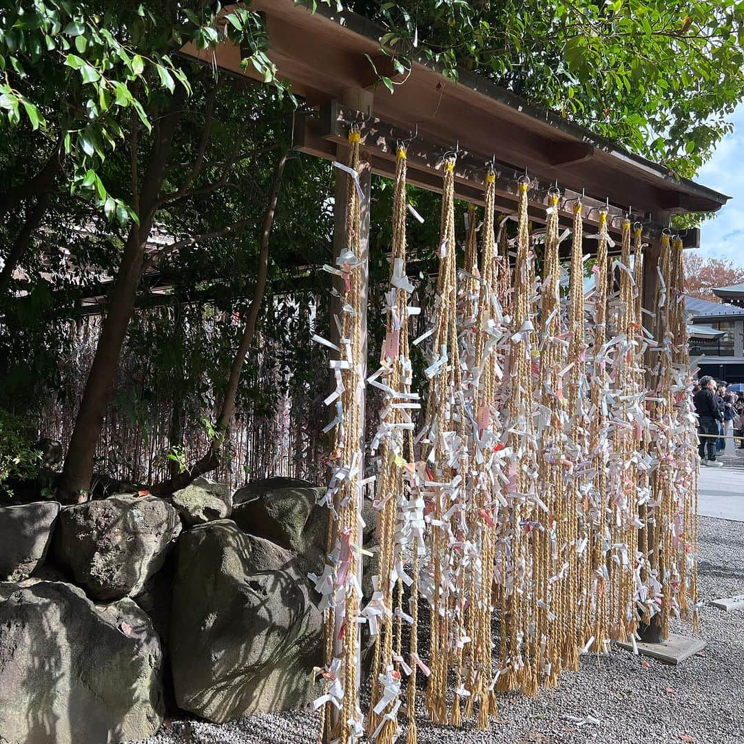 千葉あやさんのインスタグラム写真 - (千葉あやInstagram)「. 寒川神社へ行ってきました😌⛩️  #寒川神社 #パワースポット #神社巡り #宮山駅 #坂本彩ものまね」11月23日 15時25分 - aya_sakaya56