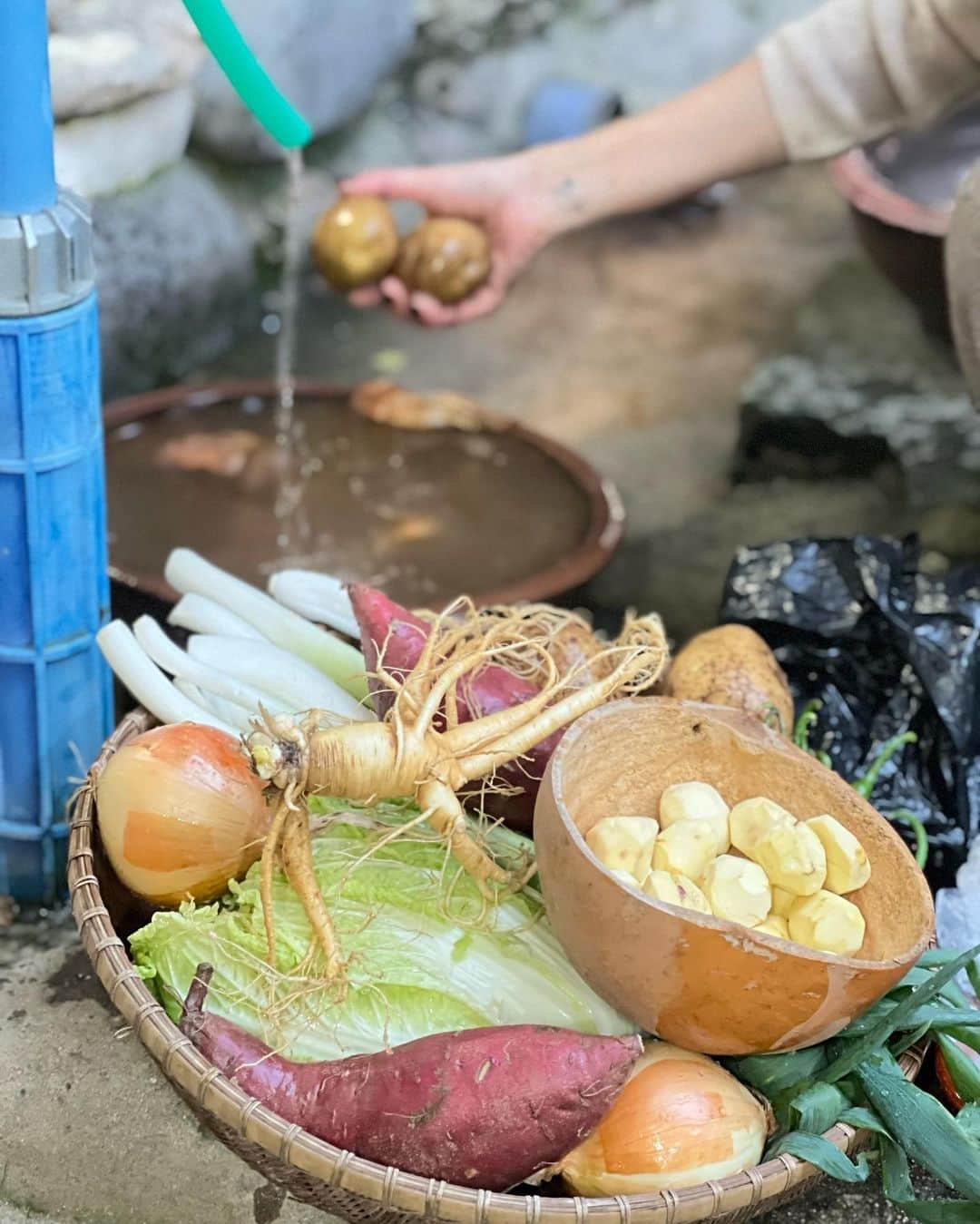 ピョン･ジョンスさんのインスタグラム写真 - (ピョン･ジョンスInstagram)「시장에서 만난분들 ! 저 알아보시고 장난 많이 쳐주시네  여기 살아야하나 ㅋㅋㅋ𐨛 𐌅 ࠅ 𐨛 𐌅 ࠅ 30대 같데요 자꾸 뒤돌아보시네  내나이 50 #뭐가중헌디 😵‍💫😵‍💫😵‍💫  웃기게 사는게 힘인듯하네요  뭔가 믿는 구석이 있으니 그런듯해요  건강하게 살고있으니  주위에도 널리 전파해요  영주에는 풍기애삼때문에 왔지만  점점 정이듭니다 😀 아침에 한포씩 드시고 간식대신 절편 ! 온가족 함께해요」11月23日 15時54分 - hoyatoya