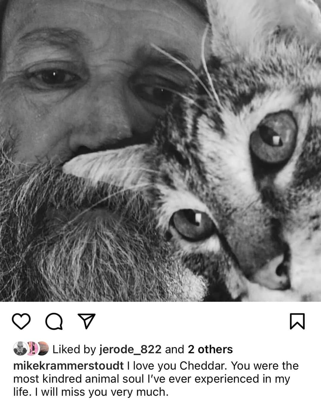 クラマー&スタウトのインスタグラム