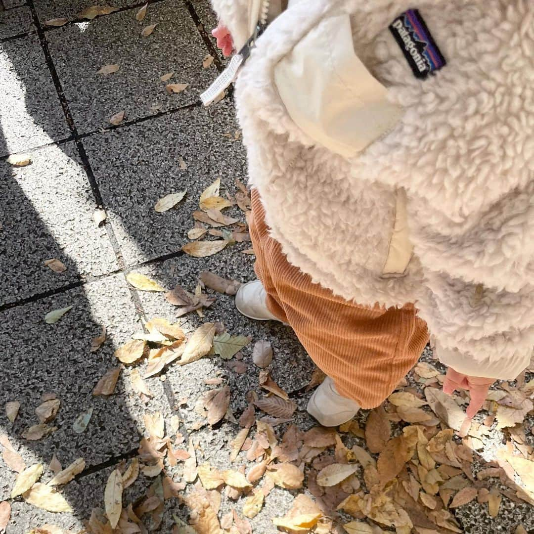 kumiさんのインスタグラム写真 - (kumiInstagram)「落ち葉が大好きな息子さん🍂♡  寒くなってきたから @patagonia のモコモコを着せてみたら可愛いのなんの。 夫チョイス👏さすがです☺︎☺︎  夫と2人でのんびり歩くのも好きだけど 3人だと更に楽しい。  また旅行に行きたいね〜♩🚃  #caban#bacca#maisonmargiela#therow #patagonia#studiobohemeparis#littleflamingo#newbalance」11月23日 16時29分 - 93_0920