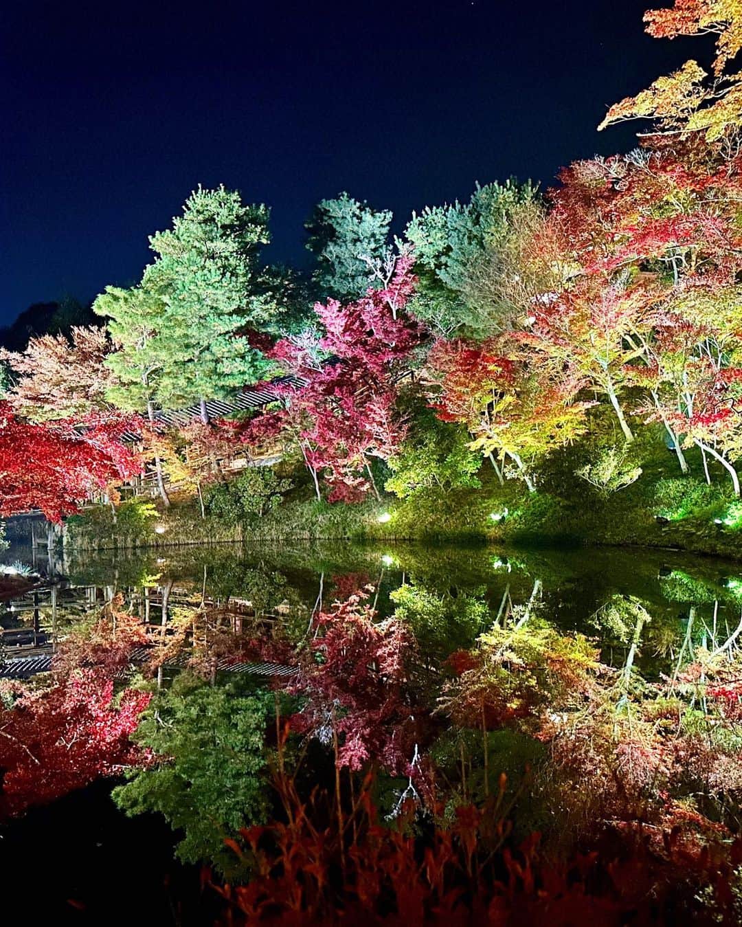 kazumiさんのインスタグラム写真 - (kazumiInstagram)「京都へ🍂 1日目。 行きたかった井田幸昌さん @yukimasaida の個展 ▶︎東山緒方のご飯はどれも美しくて美味しくて口福♡だった▶︎高台寺のライトアップは驚くほど綺麗だったので 近々京都に行かれる予定の方はほんとにオススメ🍁  私服は コート　@hyke_official  ワンピ　@rim.ark  シャツ　@6______roku  ファーバッグ　@veritecoeur_atelier  靴　@miumiu   すごく寒いかも？！と思ったら まだあたたかくてお昼はじんわり汗が😂 秋の京都は大混雑を予想して行ったけど 昨日は意外とゆったり。 のんびりできてよかった☺️🫶  #秋#京都#そうだ京都行こう #京都観光#緒方#東山#日本料理#kazumi旅#井田幸昌  さん#京セラ美術館#高台寺#ライトアップ#紅葉スポット#紅葉#outfit#私服#hyke#veritecoeur#roku#miumiu#rimark #kazumi」11月23日 16時27分 - kazumi0728