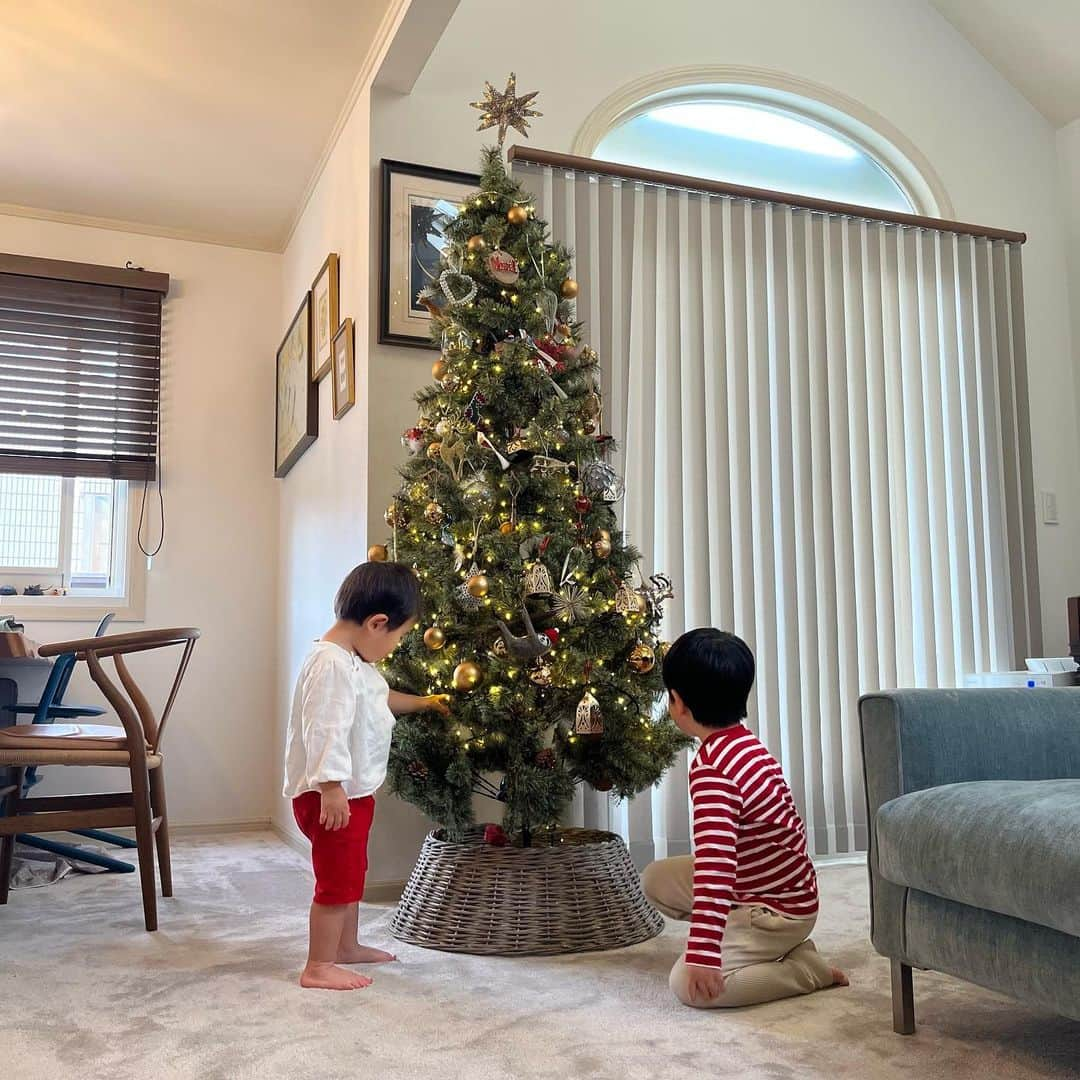 瓜生明希葉のインスタグラム：「ツリーを出しました🎅  今年もMichael Bubleを聴きながら。  ぼくのおうち！ とツリーの場所を基地化する次男。  大好きで集めているオーナメント👀  今年の新入りは 長男がお店で一目惚れして ぎゅっと離さなかった なまけものくん🦥  そして河口湖近くの クリスマスオーナメント専門店で買った飛行機✈️  サンタさん来ますように〜！  #christmasdecor  #michaelbublé」