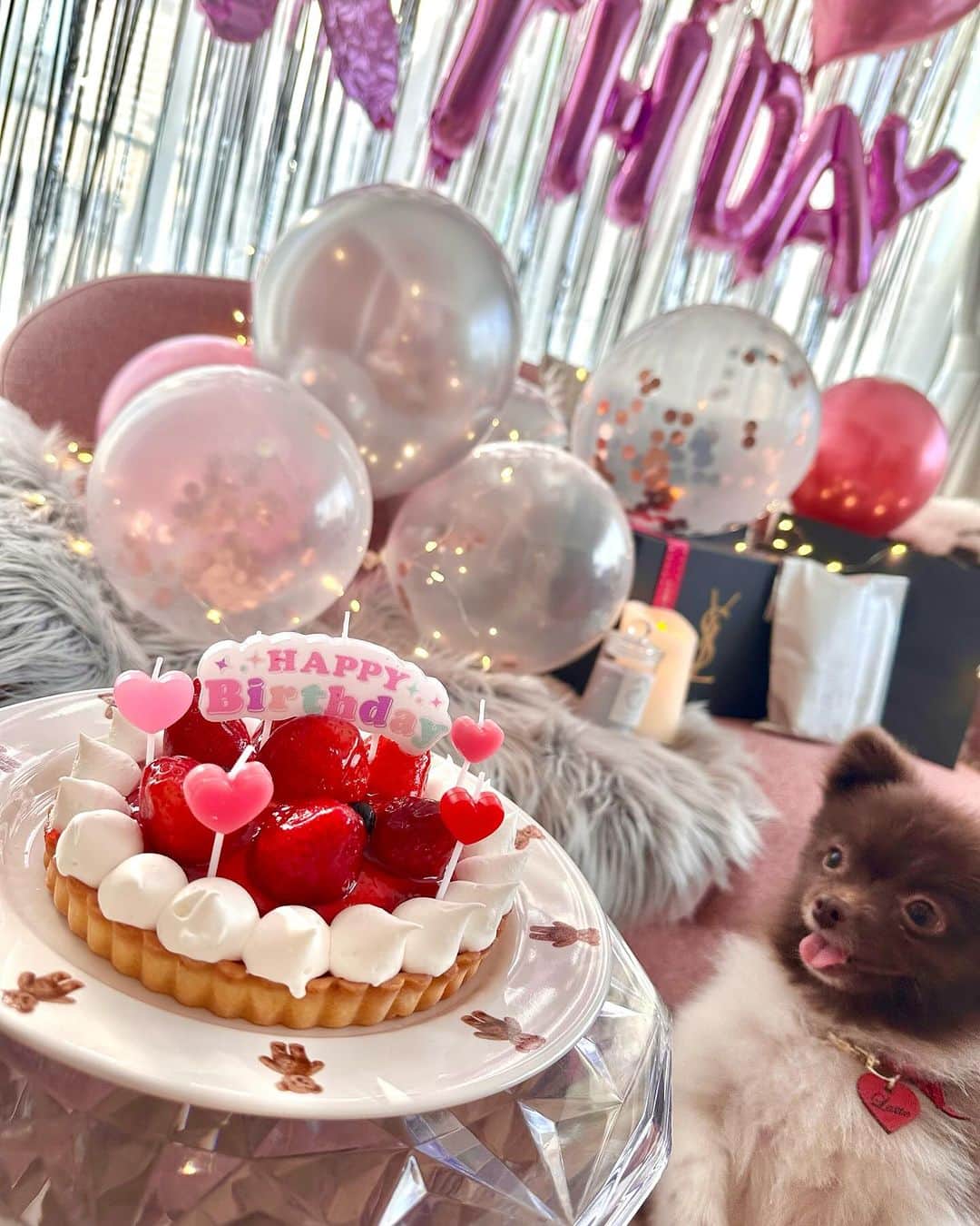 西原愛夏さんのインスタグラム写真 - (西原愛夏Instagram)「可愛いケーキとバースデー犬🐕‍🦺♥」11月23日 16時31分 - manakanishihara