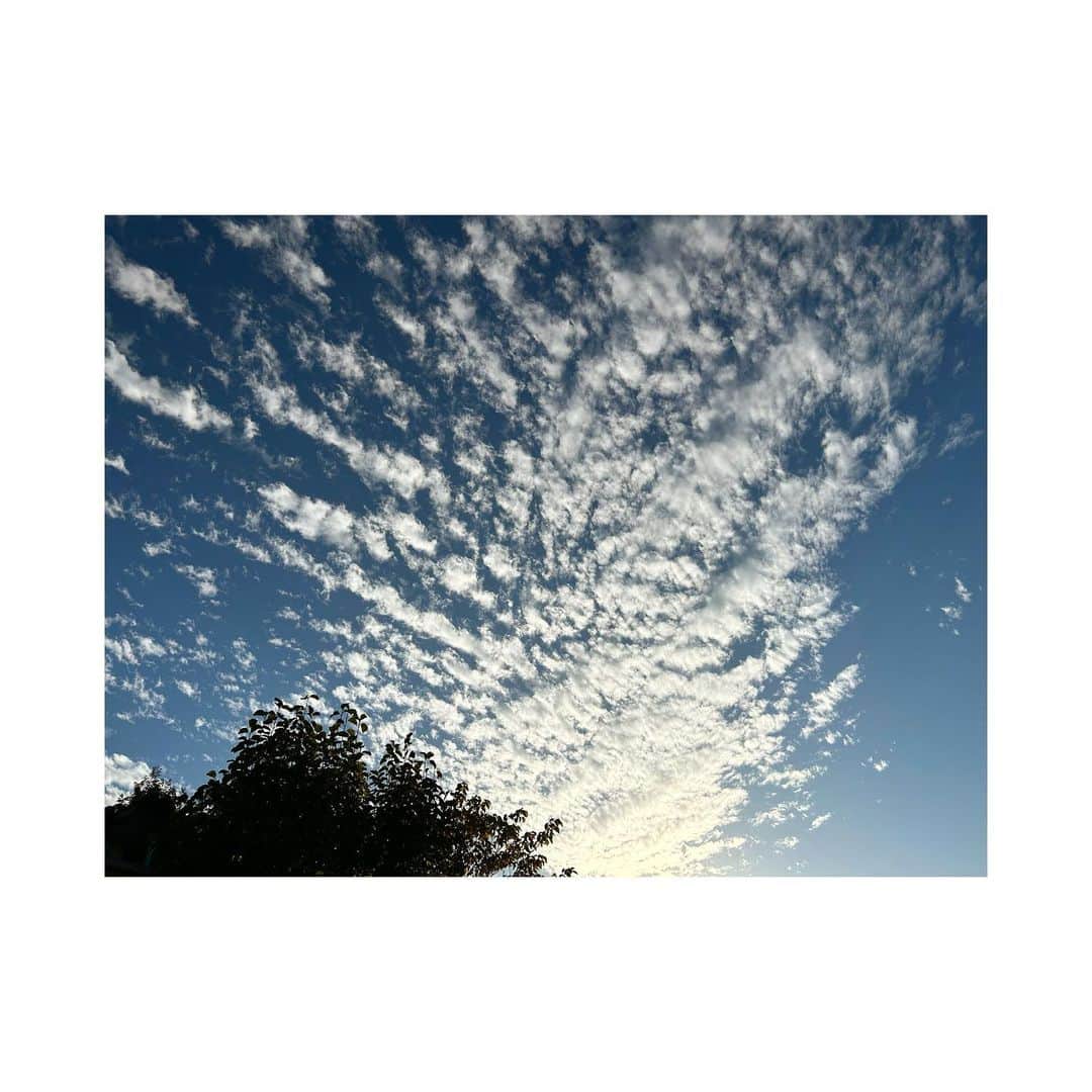 三倉茉奈さんのインスタグラム写真 - (三倉茉奈Instagram)「秋の空や景色が好きすぎる。 今日1日だけでも色んな表情。 #いろんな空 #紅葉好き #sky #november」11月23日 17時00分 - mana_mikura_official