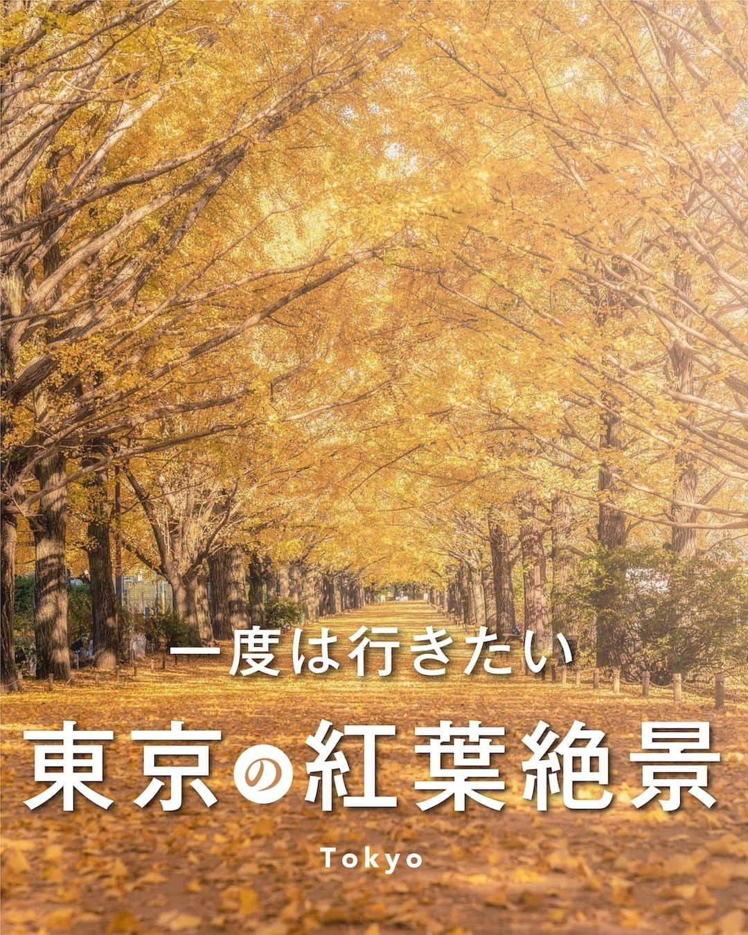 旅行メディア・じゃらん〈公式〉のインスタグラム：「＼ #一度は行きたい東京の紅葉絶景 ／ 東京でおすすめの紅葉絶景スポットを5つご紹介します！ いつか行きたいおでかけの参考にしてみてください💭 . . ━━━━━━━━━━━━━━━ 1 ・表紙 📍東京都立川市「#国営昭和記念公園」 📷 @washima12 . 2 📍東京都葛飾区「#水元公園」 📷 @sanbonsuge1986 . 3 📍東京都文京区「#六義園」 . 4 📍東京都あきる野市「#秋川渓谷」 📷 @maipo.photo . 5 📍東京都豊島区「#目白庭園」 📷 @kazphoto7 ━━━━━━━━━━━━━━━ . . . 素敵なお写真をお借りした皆様ありがとうございました┈✈︎ . . ☑ あらかじめ最新情報をご確認の上、お出かけください。 ☑ #jalan_travel をつけて、ぜひ今までの旅行先の思い出写真を投稿してください。このアカウントでご紹介させていただきます。(じゃらんニュースでも紹介される可能性があります） . . . . . . #いつか行きたい #じゃらん #観光 #観光地 #観光スポット #旅行 #旅行好きな人と繋がりたい #旅行好き #japantravelphoto #japantrip #japantravel #国内旅行 #絶景 #絶景スポット #誰かに見せたい景色 #誰かに見せたい風景 #紅葉 #紅葉スポット #東京 #東京観光 #東京旅行 #tokyo」