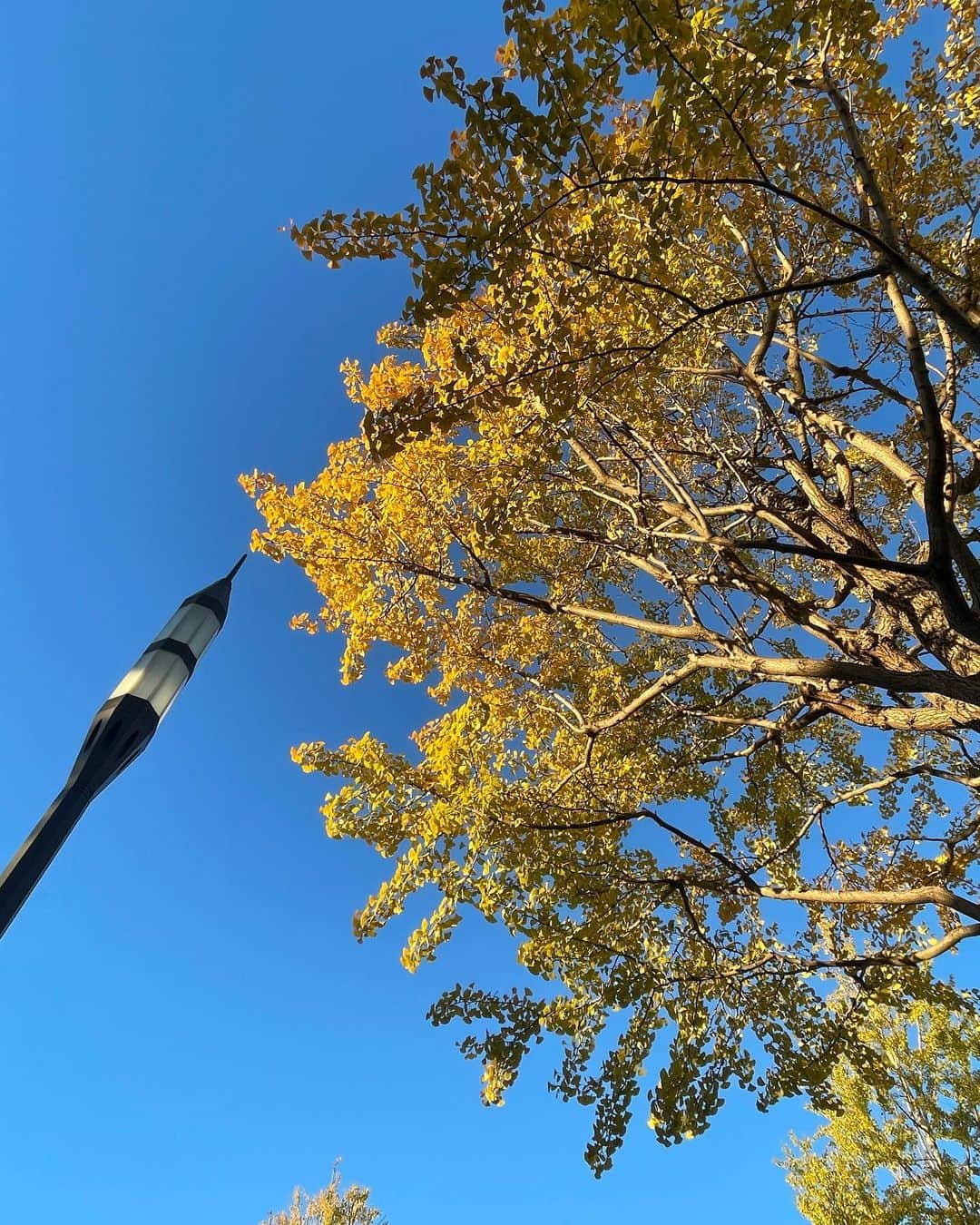 東晟良さんのインスタグラム写真 - (東晟良Instagram)「🌰」11月19日 21時30分 - serafencing