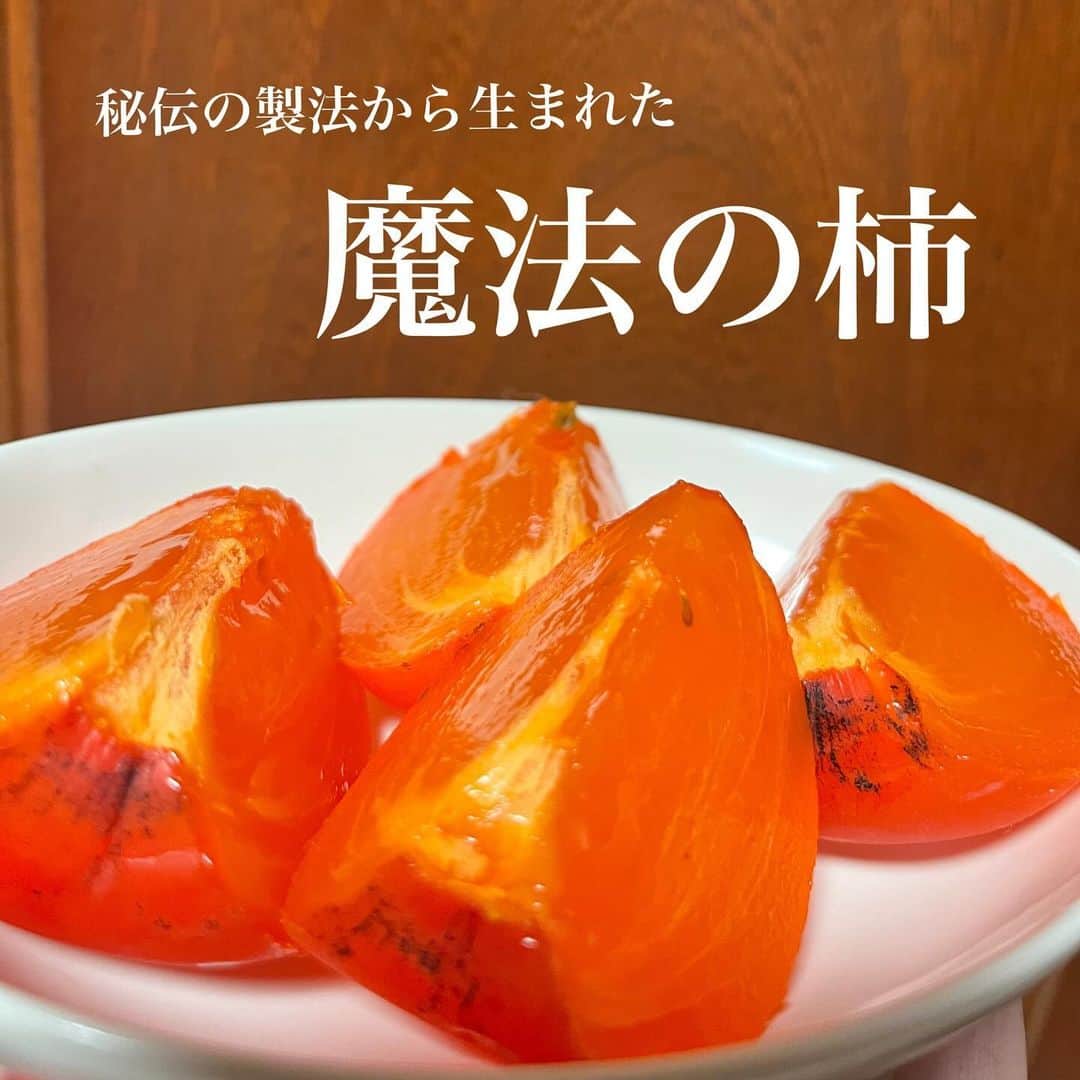 葛巻舞香さんのインスタグラム写真 - (葛巻舞香Instagram)「⌘⌘⌘  「甲子柿」 岩手県釜石市  今年もなんとか間に合いました〜！  岩手県釜石市甲子町に伝わる幻の名産 「甲子柿」（かっしがき）  渋柿を一週間煙で蒸して渋を抜き  ぷるんぷるんでトロっトロ、 トマトのように真っ赤に仕上げられる ここでしか味わえない特別な柿。 秘伝の製法から生まれ 仕上がりが渋柿から信じられない姿に変わるので （そして消費期限も短く、運搬も難しい） 魔法の柿、幻の柿と呼ばれているそう。  燻された燻製特有の それこそ渋い香りが食べる前と後にふんわりと香るのですが（私は燻製の香り大好き）  口に含んだ時はもうトロトロの甘々…♡  詳しくは、甲子柿の作り方から思いから書いてあるサイトがあるのでそちらをご覧ください！  熊🐻の好物なので…今年は一際苦労されたそうです💦  今シーズンの甲子柿はほぼ終了かな… 甲子柿そのものは食べられなくても 季節問わず楽しめるようにジャムなどの加工品も販売されています。  毎年この季節だけの期間限定、地元の皆さんが 受け継いできた特別な柿。  釜石市に立ち寄る際には是非甲子町に足を運んでみてくださいね。  ごちそうさまでした。  #岩手県 #釜石市 #甲子柿 #甲子町 #幻の柿 #魔法の柿」11月19日 21時32分 - maika.kzm
