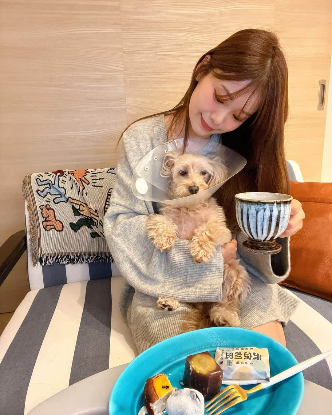 ほたるさんのインスタグラム写真 - (ほたるInstagram)「・ ・ ロアさんとのまったりティータイム🐶☕️ ご近所に @hakatanagasakiya.takatori が出来たので行ってきたよ🚶‍♀️高取店は11/4にopenしたばかり📌  藤崎側の西新商店街は久しぶりにきたので大学時代を思い出して懐かしい気持ちになった💭(西南生は講義終わりにぜひ🤍)  ひとつひとつが手作りの和菓子たち。 繊細な和菓子たちは見る分にも楽しい。  どれにしよ〜と選んでたらひとりで食べるくせに 気付いたら10個ほど買ってたよ。笑  大好きな大福は季節のフルーツで今回はシャインマスカットでした〜 全部全部、優しい味でとっても美味しくいただきました🙏🏻✨  お土産にもおすすめです🤲🏻ぜひ🤍  #博多ながさき屋 #博多ながさき屋高取店  #博多長崎屋 #和菓子 #PR #ロアちゃん元気です🐶」11月19日 21時35分 - hotarutaru21