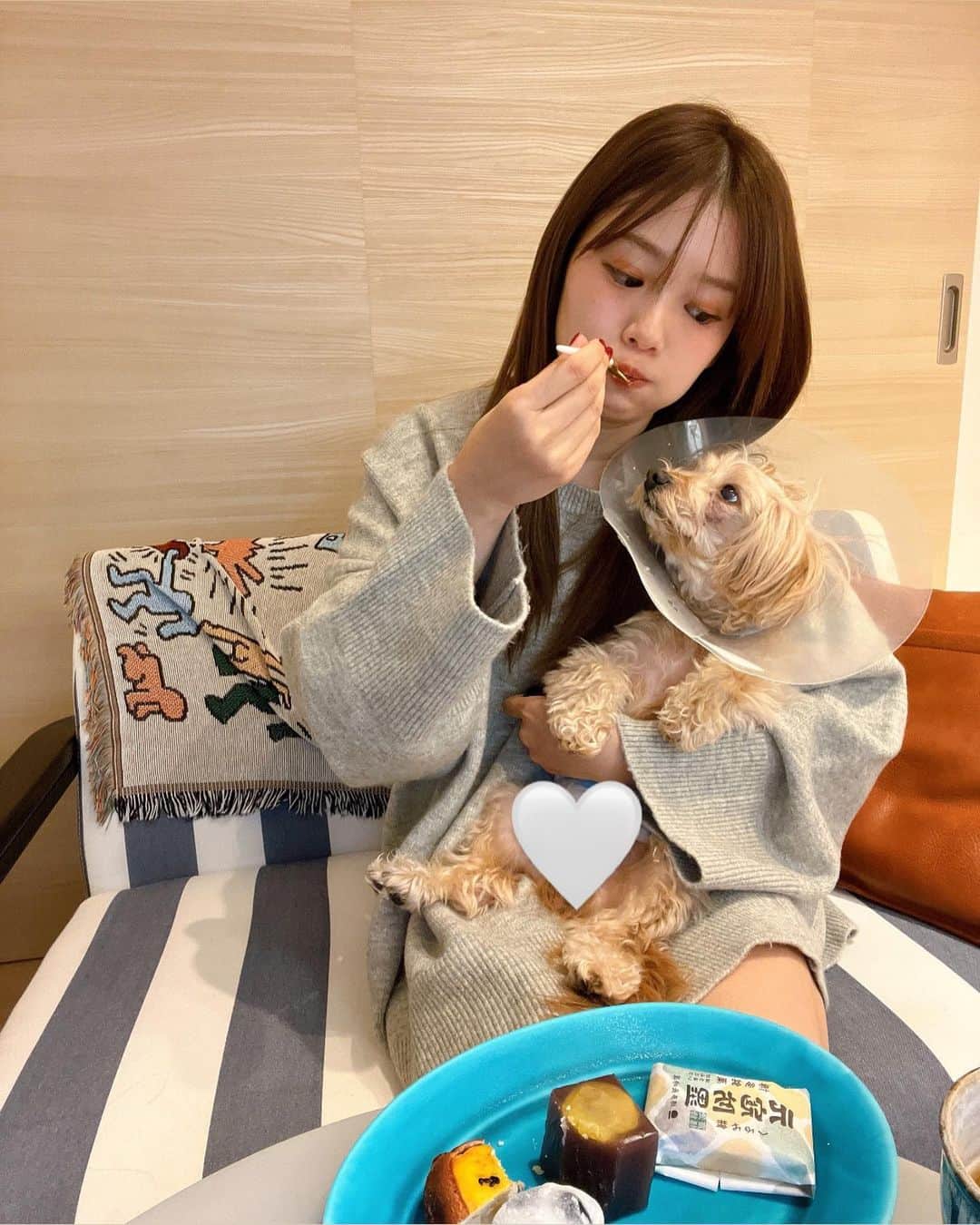 ほたるのインスタグラム：「・ ・ ロアさんとのまったりティータイム🐶☕️ ご近所に @hakatanagasakiya.takatori が出来たので行ってきたよ🚶‍♀️高取店は11/4にopenしたばかり📌  藤崎側の西新商店街は久しぶりにきたので大学時代を思い出して懐かしい気持ちになった💭(西南生は講義終わりにぜひ🤍)  ひとつひとつが手作りの和菓子たち。 繊細な和菓子たちは見る分にも楽しい。  どれにしよ〜と選んでたらひとりで食べるくせに 気付いたら10個ほど買ってたよ。笑  大好きな大福は季節のフルーツで今回はシャインマスカットでした〜 全部全部、優しい味でとっても美味しくいただきました🙏🏻✨  お土産にもおすすめです🤲🏻ぜひ🤍  #博多ながさき屋 #博多ながさき屋高取店  #博多長崎屋 #和菓子 #PR #ロアちゃん元気です🐶」