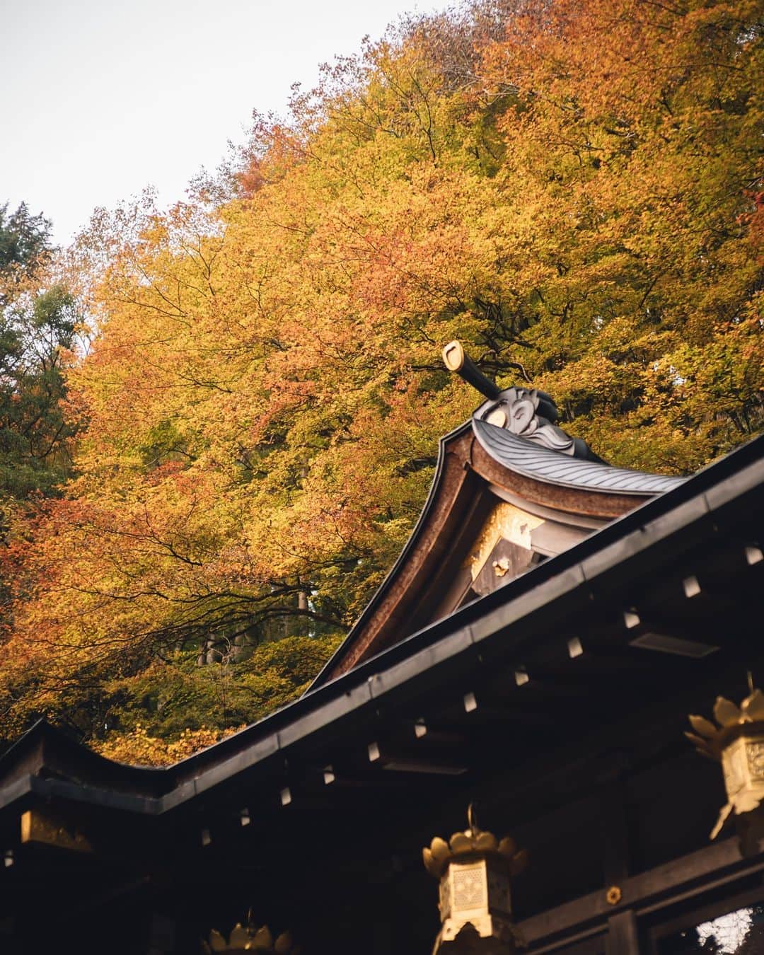 貴船神社のインスタグラム：「貴船 紅葉」