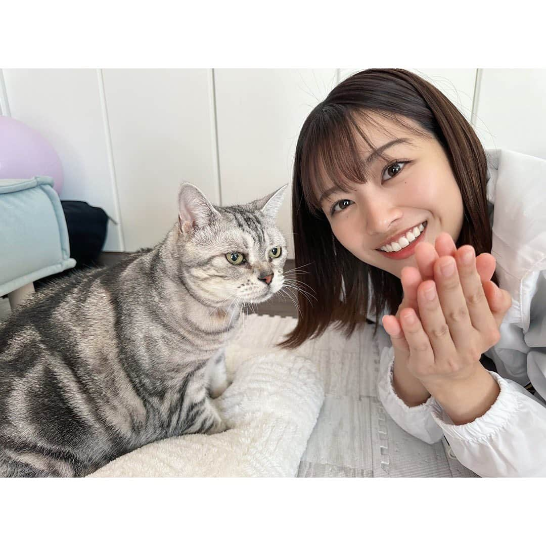 原田葵さんのインスタグラム写真 - (原田葵Instagram)「初めてねこちゃんにご飯あげた。愛おしい…💭💭  #ココ調」11月19日 20時10分 - harada_aoi_