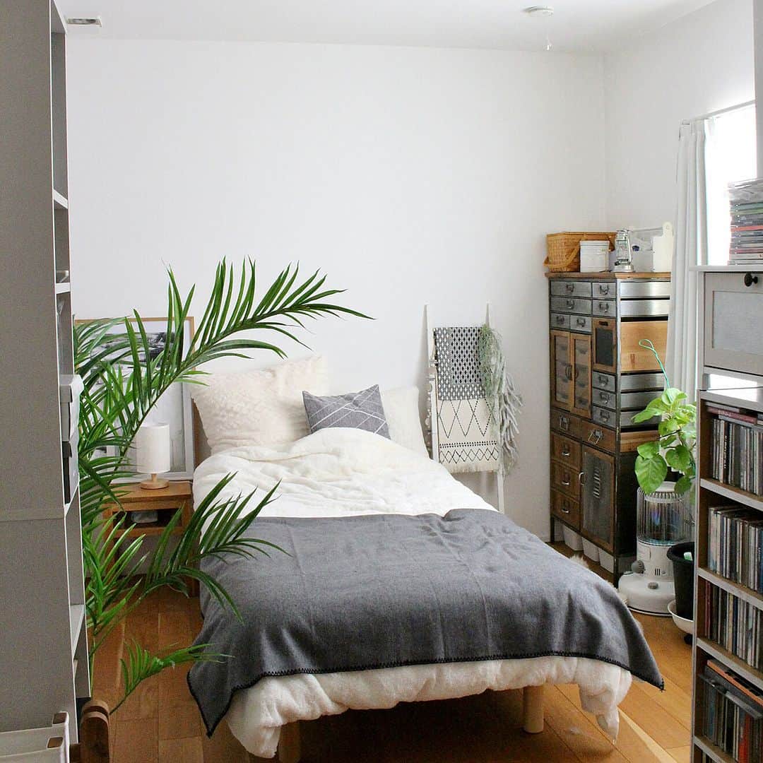 RoomClipJPさんのインスタグラム写真 - (RoomClipJPInstagram)「この部屋が素敵だなと思ったら「🪴」(植物)とコメントしてください！ 中庭のある平屋にお住まいのKaneyukiさん✨ 窓から入るたくさんの光とお部屋の植物から自然のエネルギーをもらい、人も猫ちゃんたちも快適に過ごせそうですね！ ---------------------------------------  Photo: Kaneyuki RoomNo.  309835   --------------------------------------  ぜひ「RoomClipムービー」のハッシュタグで 皆様の素敵なお部屋を撮影した動画を投稿してください🏠   --------------------------------------  この部屋のインテリアはRoomClipのアプリから ご覧いただけます。  アプリはプロフィール欄から ▶︎ @roomclipjp  ------------------------------------  600万枚以上集まる中から リアルな部屋のインテリア写真を毎日発信！  ------------------------------------  #ねこのいる暮らし#ネコのいる暮らし#猫のいるくらし#ねこのいるくらし#猫との生活#猫との暮らし#猫と暮らす家#猫の居る暮らし#グリーンのあるインテリア#植物のある暮らし#観葉植物のある暮らし#観葉植物がある暮らし #植物がある暮らし#グリーンのある暮らし#インテリアコーディネート#好きなものに囲まれた暮らし#部屋づくり#リビングインテリア#リビングルーム#こだわりの家#雑貨好き#インテリア好き￼#おしゃれなインテリア#キッチンインテリア#インテリア好きと繋がりたい#ダイニングインテリア#デザイナーズ家具#空間デザイン#roomclip #ルームクリップ」11月19日 20時30分 - roomclipjp