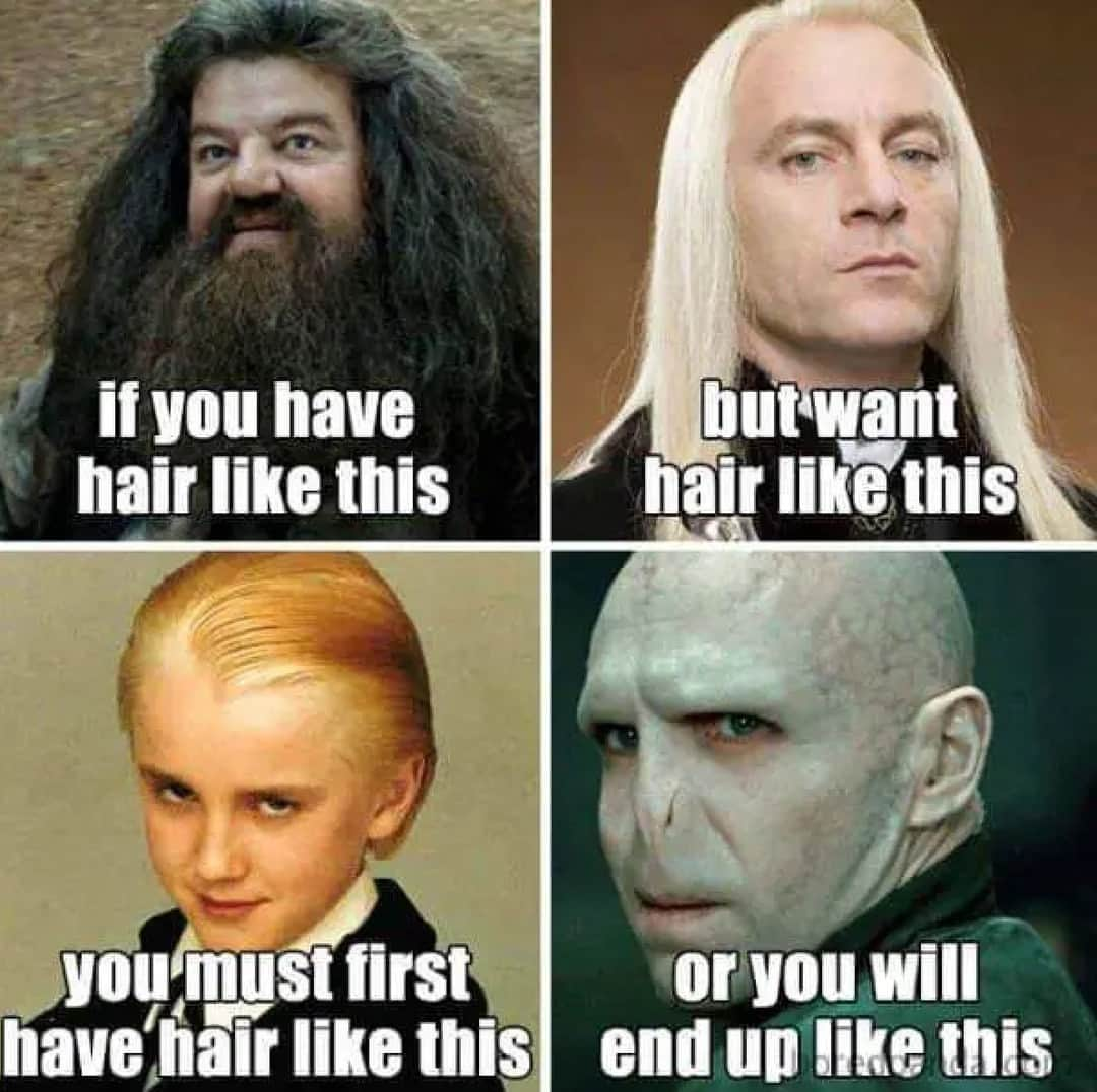 Sam Villaさんのインスタグラム写真 - (Sam VillaInstagram)「This one is for all of our #Potterheads.⁠ ⁠⁠ #SundayFunny⁠ #SamVilla」11月19日 20時30分 - samvillahair