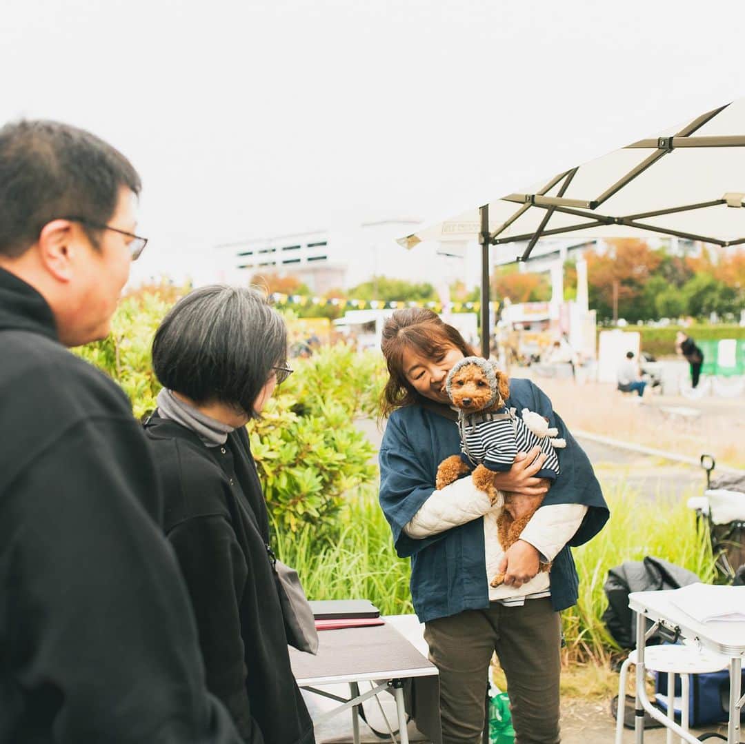 甲斐麻美さんのインスタグラム写真 - (甲斐麻美Instagram)「・ @イオンモールむさし村山で開催した  いぬのおまつりの写真が届きました☺💓  ワンコもご家族も 会場にいるみんなが嬉しそう❣️ 幸せな瞬間が切り取られていて 何度見ても、心が温かくなります💓  こんな幸せ時間が つい一週間前の出来事だなんて。  むさし村山のお写真、またアップしますね！  special thanks to @kaedesign2018 📷  3月に開催するいぬのおまつりでは、 ただ今、出店者様を募集中です。 間もなく〆切！ わたし達と一緒に、 いぬファーストの空間を作りませんか？🙌✨  詳細はこちら↓↓↓  \\ いぬのおまつり 　2024年3/2(土),3(日)＠まつばら綾瀬川公園 　　　　　出店募集まもなく〆切 // 　　　（～11/20(月)〆切)  締め切りは、11/20(月)23:59です！  ワンちゃんもワンちゃん家族も、 みんなが楽しくハッピーで 心地いいイベントになるために、 わたし達と一緒に ”いぬのおまつり ”を 盛り上げてくれる『いぬLOVE💗』な 出店者様をお待ちしています🐾  初めての場所で、 大きな空間で開催なのでわたしたちもドキドキ🐶🤭💓  ぜひ一緒に盛り上げて下さい！  心地のいい春の公園で、 たくさんの笑顔を作りましょう🐕‍🦺💕🌝  出店者さんの募集は、まもなく〆切！  @inuto_watashi ↑をフォローの上、  いぬとわたしホームページへ。 → https://inutowatashi.wixsite.com/home  プロフィール欄からどうぞ🐶✨  出店要項（規約）をご確認のうえ、 ご応募ください。🥰 (※応募者が多数の場合は選考になります) (※期日内は申込みフォームの修正も可能です)  運営team一同、 素敵な出店者様との 出逢いを心から楽しみにしています💛  よろしくお願いします♩  ============  いぬのおまつり ============  ■日時：2024年3月2日(土)・3(日) 10:00～16:00 ※雨天中止 場所：まつばら綾瀬川公園(旧綾瀬川左岸広場) 東武スカイツリーライン獨協大学前駅東口 徒歩約8分  #いぬのおまつり　 #埼玉県 #草加市 #草加グルメ #草加最高 #松並木 #イベント運営 #いぬとわたし #犬との暮らし #犬ファースト #犬好きさんと繋がりたい #犬がいないと生きていけません #犬好き #犬のイベント #犬イベント #犬とお出かけ #いぬすたぐらむ #いぬのおまつり #いぬとわたし #犬イベント #犬の日 #出店者募集 #犬すきさんと繋がりたい #犬との暮らしを楽しむ #募集 #犬ばか」11月19日 20時31分 - inuto_watashi