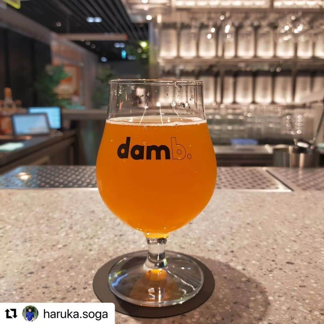 片山正通さんのインスタグラム写真 - (片山正通Instagram)「#Repost @haruka.soga with @use.repost ・・・ 3A lovers, you have to come over to the dam brewery newly opened at the Toranomon Station Tower! Dam Brewery is damb good!!  Interior designed by Wonderwall, art piece by Kotao Tomozawa, and the excellent beer!! Their beer was sooooo good!! Saison type “Daily Paper” had the best balance for the first sip, and the brown ale “ Dawn Brew” change it’s impression as temperature gradually elevates up. The words of the staff saying “To keep everything clean will brew the best beer” tickled my heart. How sincere!  Next time, I have to taste their food as well! Cheers at the good architecture🍻  Site: Dam Brewery and Restaurant Design by: Wondermall, Masamichi Katayama Completed : 2023 Closest Station: Toranomon Hills, Tokyo  3Aラヴァーのみなさーん！ 絶対、虎ノ門ヒルズステーションタワーにオープンしたダム・ブリュワリーさんへ行ってみてー！ ビール、めちゃくちゃ美味しかった！！ 「全てを清潔に掃除を行き届かせることが美味しいビールに欠かせない」というスタッフさんの言葉にやられた。なんて真摯！  セゾンタイプの「デイリー・ペーパー（日々の新聞）」は最初の一杯に完璧なバランス。 ブラウンエールの「ドーン・ブリュー（夜明けの醸造）」は、温度がゆっくり上昇するにつれ印象が変わる魔法のような味わい。 いや、最高でした。  次はお食事も楽しまなきゃ！ 名建築で乾杯を🍻 （付き合ってくれる人募集中！）  ちなみに店名のdamは、江戸時代、この辺りに溜池があったから。そんな由来もぐっと来るし、breweryと合わせてdamb（まじか、やばい、くっそー、とか、そういうスラング。damb goodだとやばいかっこいい、みたいな）と掛けてくるのがまたニクい！  建築: ダム・ブリュワリー&レストラン 設計: ワンダーウォール、片山正通さん 竣工: 2023年 最寄り駅: 虎ノ門ヒルズ（東京都）  #DamBreweryandRestaurant #ダムブリュワリーアンドレストラン #Tokyo #東京 #ToranomonHills #虎ノ門ヒルズ #Wonderwall #ワンダーウォール #MasamichiKatayama #片山正通 #architecture #TokyoArchitecture #architecturephotography #architecturetour #archilovers #architecture_hunter #behindthescenery #tourguide #tokyoguide #japanguide #visittokyo #tokyotour #japanarchitecture #東京建築 #建築ツアーガイド #2020年代建築 #2020sarchitecture #東京女子部」11月19日 20時39分 - masamichi_katayama