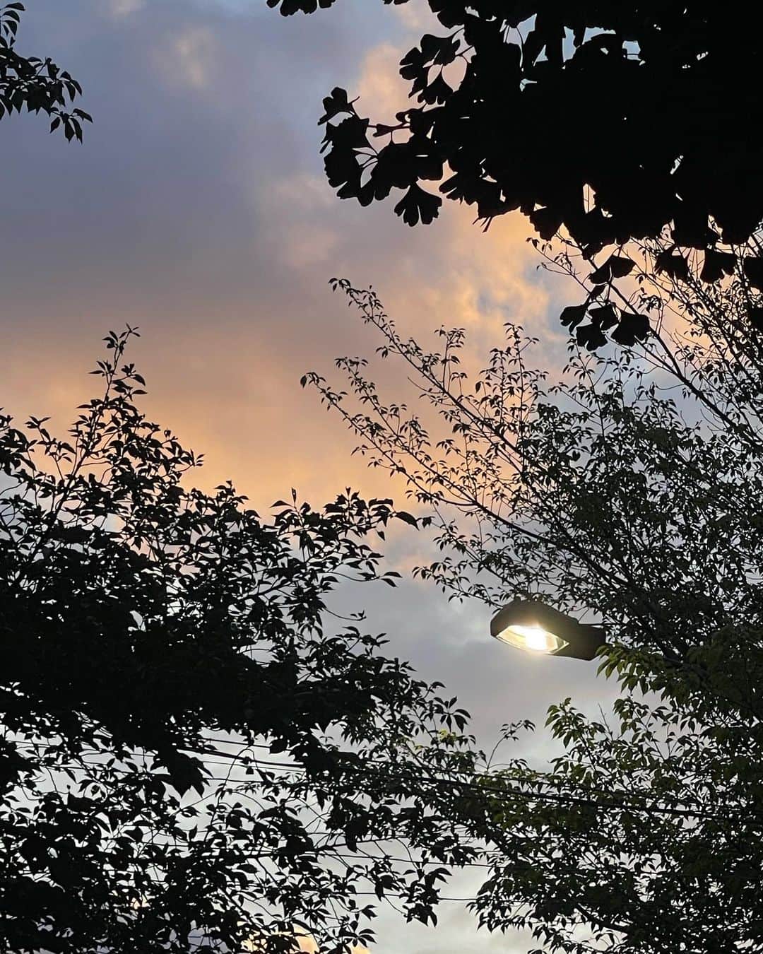 濱尾ノリタカさんのインスタグラム写真 - (濱尾ノリタカInstagram)「空」11月19日 20時53分 - noritaka_hamao