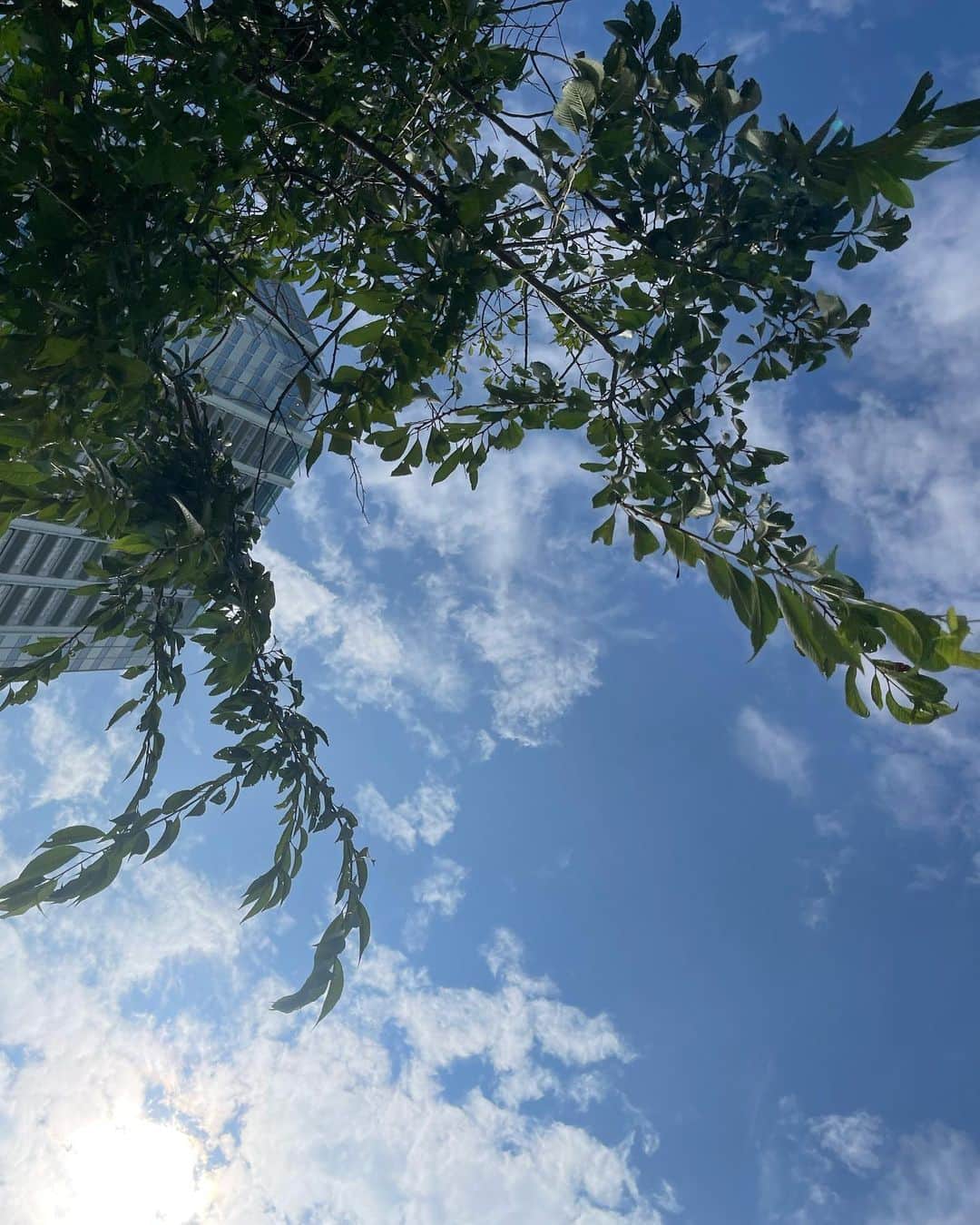 濱尾ノリタカさんのインスタグラム写真 - (濱尾ノリタカInstagram)「空」11月19日 20時53分 - noritaka_hamao