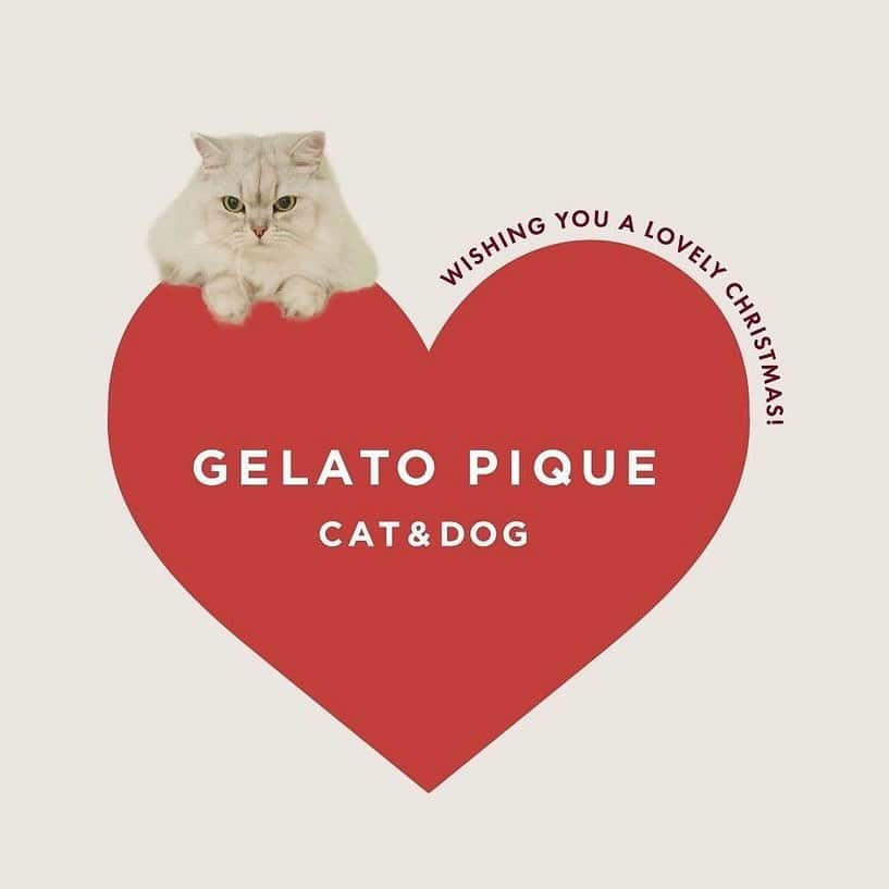 福田瞳のインスタグラム：「. . @gelatopique_official 📸 CAT & DOG ❤️」