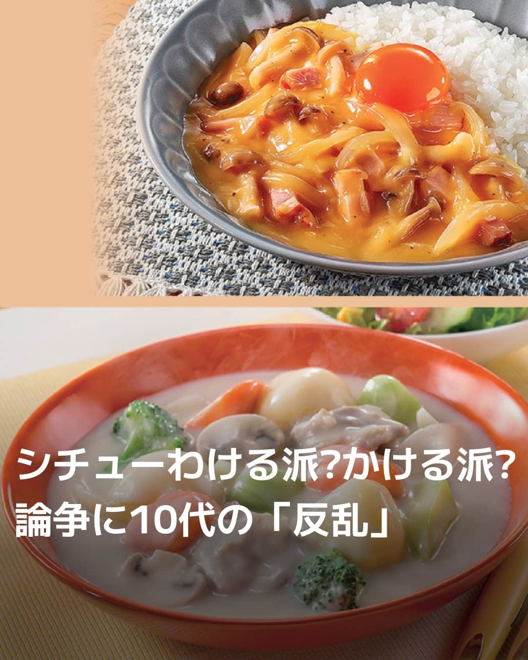 日本経済新聞社のインスタグラム：「シチューわける派?かける派?　論争に10代の「反乱」。⁠ 民間の全国調査では「わける派」が多数の中、若い世代ほど「かける派」に。多数派の食事作法に背く嗜好の裏にはタイパの良さ。新たな消費を生み出します。⁠ ⁠ 詳細はプロフィールの linkin.bio/nikkei をタップ。⁠ 投稿一覧からコンテンツをご覧になれます。⁠→⁠@nikkei⁠ ⁠ #シチュー #外食 #牛丼 #時短 #カレー #日経電子版」