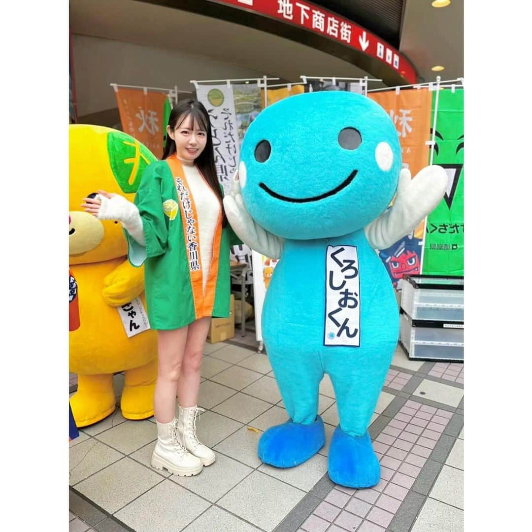 小泉みゆきさんのインスタグラム写真 - (小泉みゆきInstagram)「そして、高知県からお越しのくろしおくん。 太平洋側の気候で、雨の降り方も熱帯な高知県。一番のつながりは…… 水です。  降水量が極めて少なく、大きな河川もない香川県は、ご存知の通りすぐに水不足に陥ります。 そんな香川の水瓶は、高知県の早明浦ダム。県民は夏になるとこのダムの水量を確認して一喜一憂。うどんを茹でられないのか？茹でられなければ、血で茹でるのか？？等とうわごとを言いつつ、節水に勤しみます。  太平洋側の高知県への降水で水分を失った空気が四国山脈を超え、下降流となって気温が上昇し湿度が下がることが理由と言われています。 うどんは県民の命。否、水は県民の命。  まさに、香川県民の命を握っているのは高知県なんです。 美味しい鰹や柑橘、大蒜をいただき、プチ南国トリップにも最適の高知県なのですが、私の心の底にはいつも『県民の命を握られている』感覚があり、高知県民には頭が上がらないのであります。 それなのにいつも豪快、大らかに接してくれる県民性も🙆‍♀️」11月19日 21時27分 - koizumimiyuki