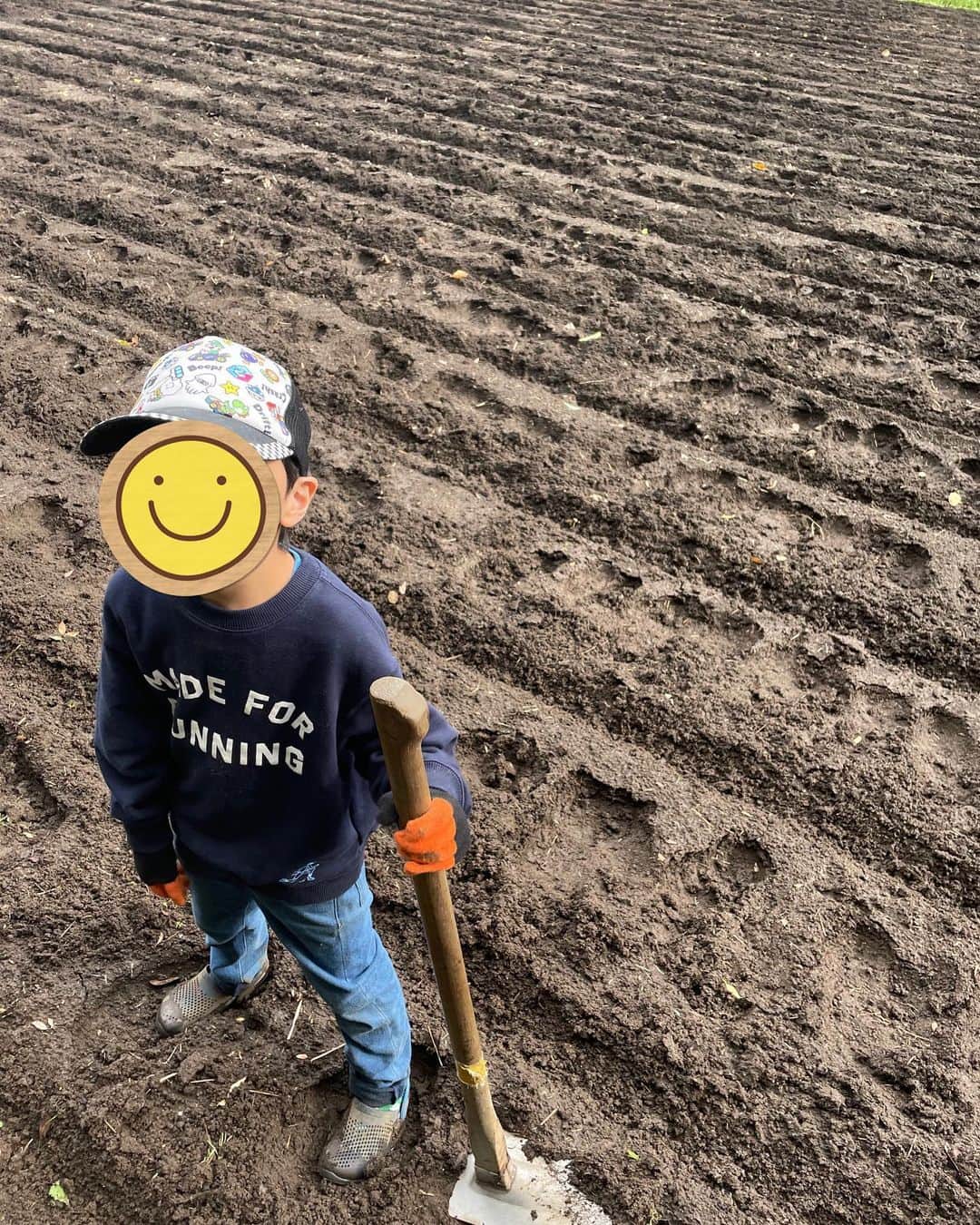 前川泰之さんのインスタグラム写真 - (前川泰之Instagram)「昨日は『日立　世界ふしぎ発見！』ご覧いただきありがとうございました😌！  さて、またまた近隣の山林保全活動に次男6歳と参加してきました〜(2回目)。  今回はまず、小麦の種を植えるための畑の畝作り。あ、写真では最後になっちゃったけど😓 人生で初めて鍬を持って挑戦！掘り過ぎちゃったり始めは上手く行かなかったけど、教えてもらい、数をこなすうちに上達✨ でも雨で土が重くて一面で終了。 いやぁ好きだわぁ、農作業！！ なんつって、お遊び程度にやってるから楽しいところはあると思うけど。ご勘弁を🙏🏻  それから大根の収穫したよ👍🏻 息子と大きいのを探すのにハッスルハッスル😤　葉も立派で炒めたら美味しそう！とかすでによだれ垂らしながら(心の中で)、全員で80本！収穫。 帰りに立派なの２本ずつもらいました😌  と、更に植樹もしてきた！  クヌギとコナラの苗木を用意してくれていて、息子と『カブトムシが来るようにクヌギにしよう😊』とクヌギを植えて名札も立ててきました。 10年も経てばかなり大きくなると聞き、  息子『パパは60歳だね』  パパ『マジか！まだまだ元気よ😤』  息子『だね』とか話しながら、、  この植えた木はまた15年ぐらいしたら伐採し、シイタケを植え付けるホダ木にするんだとか✨ 自然のサイクルの一部を担ったようで嬉しかったー✨✨ こうやって山や林に人間がきちんと手を入れてあげる事で自然は保っていけるし、また恵みを与えてくれるんだなぁ。。と、しみじみ😌  あーー、楽しい！！さ、次回はなんの作業かな😌  あ、あまりにドロドロでさすがに長靴買いました👍🏻  #自然好き　#里山保全　#山林保全　#農作業　#居場所見つけたかも」11月19日 12時35分 - maekawa_yasuyuki_official