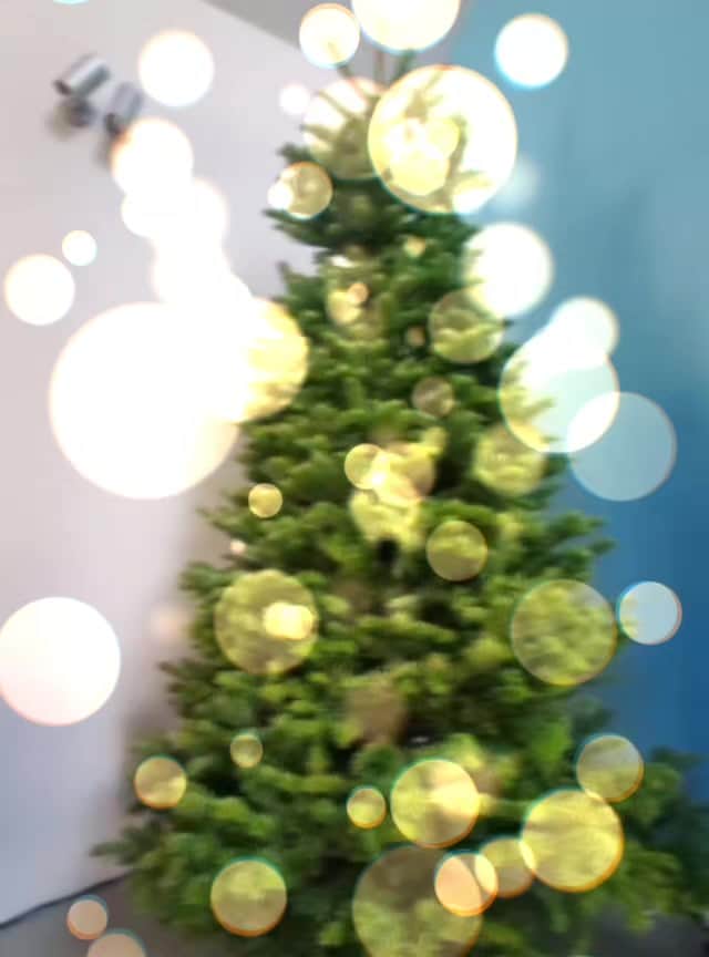 別所哲也のインスタグラム：「クリスマスツリーが！やってきた！」