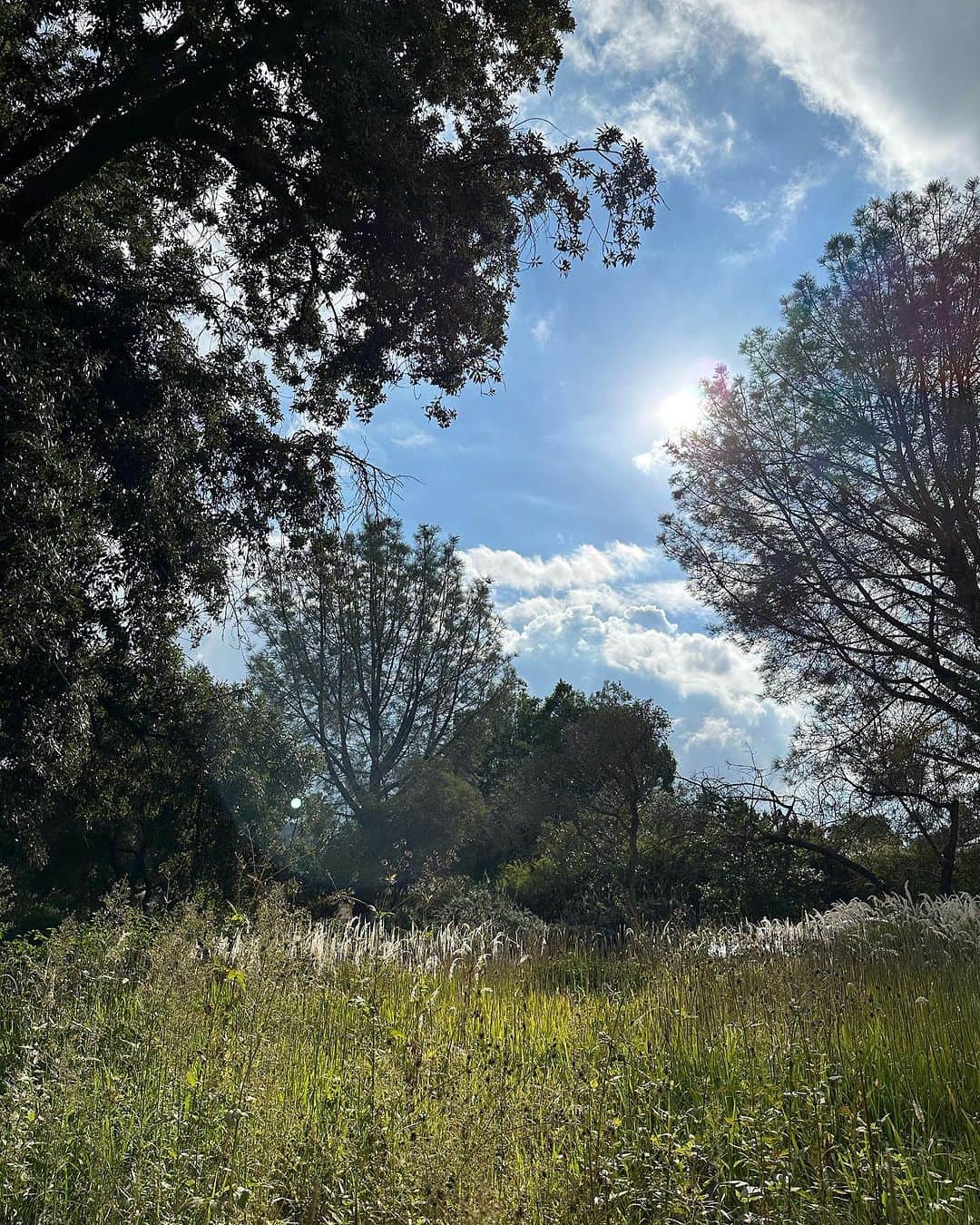 のインスタグラム：「Today was GORGEOUS!」
