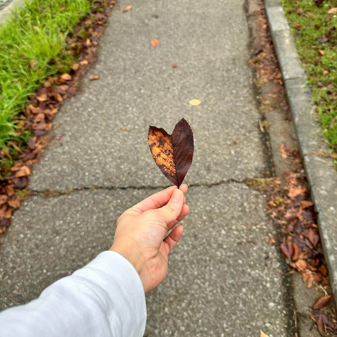 愛萌なのさんのインスタグラム写真 - (愛萌なのInstagram)「🍁🍂」11月19日 12時48分 - nakane_nanoka