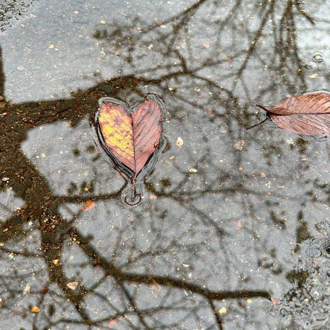 愛萌なののインスタグラム：「🍁🍂」