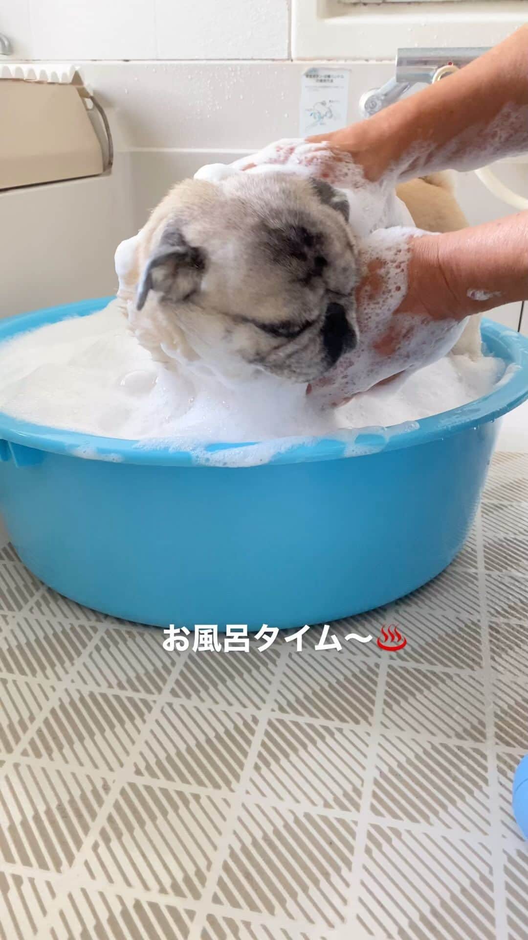 のインスタグラム