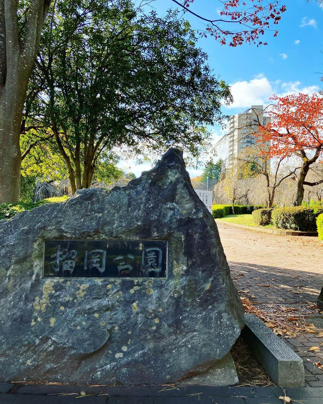 ナガイケジョーさんのインスタグラム写真 - (ナガイケジョーInstagram)「朝の仙台散歩🚶 とりあえず仙台駅を訪れて旅情を味わう。 街のあちこちから色づいた銀杏がこちらへどうぞと手招きするようで、冷たい風の中でもつい歩を進めたくなる。 結果辿り着いた榴岡公園、朝ランに励む人たちの流れに逆行した先に歴史民俗資料館。ちょうど開館する時間だったことに縁を感じてしまい、まんまと入館。20分ほど仙台の街の歴史＆文化のよりディープなとこに触れる。 そもそもこの場所一帯がかつて軍都と呼ばれた街の名残、公園内にひっそり佇む慰霊碑の横を通り過ぎるとき、茂みの中からカラスにちょっかいを出されたらしいキツネが飛び出してきて一瞬目を疑う🦊仙台ではよくある光景なのでしょうか？ すぐ隣りにあった榴岡天満宮にて旅の安全＆日々の健康ひいては世界平和までを幅広く祈願する。 境内には江戸時代頃からあるらしい歌碑も点在していて、これまたあと2時間は欲しい仙台散歩でありました🚶‍♂️  #仙台散歩 #榴岡公園」11月19日 14時02分 - joenagaike