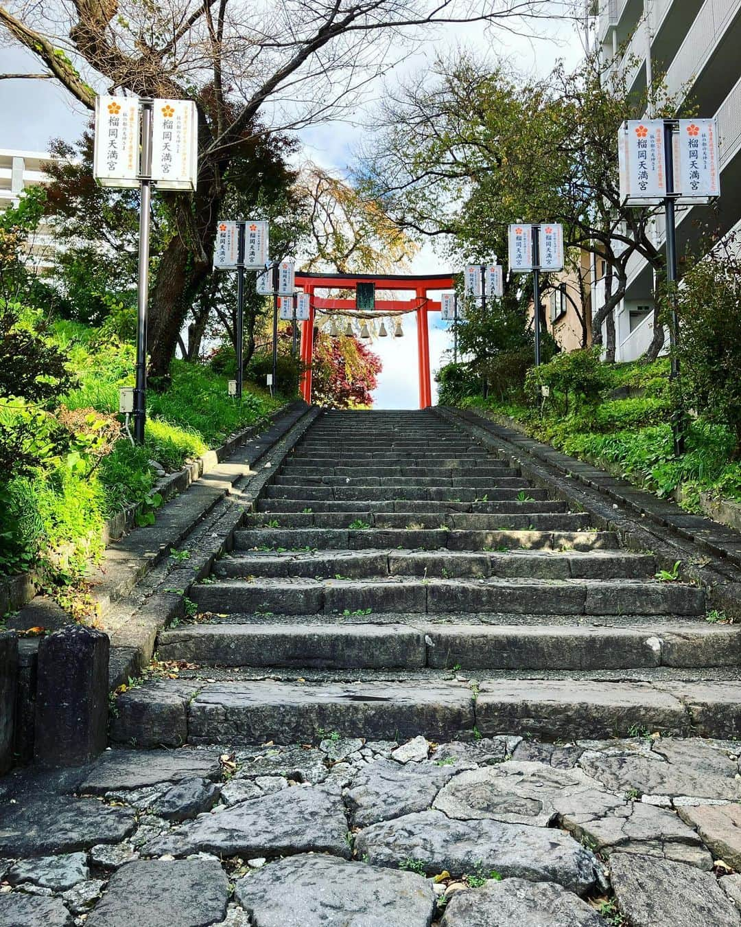 ナガイケジョーさんのインスタグラム写真 - (ナガイケジョーInstagram)「朝の仙台散歩🚶 とりあえず仙台駅を訪れて旅情を味わう。 街のあちこちから色づいた銀杏がこちらへどうぞと手招きするようで、冷たい風の中でもつい歩を進めたくなる。 結果辿り着いた榴岡公園、朝ランに励む人たちの流れに逆行した先に歴史民俗資料館。ちょうど開館する時間だったことに縁を感じてしまい、まんまと入館。20分ほど仙台の街の歴史＆文化のよりディープなとこに触れる。 そもそもこの場所一帯がかつて軍都と呼ばれた街の名残、公園内にひっそり佇む慰霊碑の横を通り過ぎるとき、茂みの中からカラスにちょっかいを出されたらしいキツネが飛び出してきて一瞬目を疑う🦊仙台ではよくある光景なのでしょうか？ すぐ隣りにあった榴岡天満宮にて旅の安全＆日々の健康ひいては世界平和までを幅広く祈願する。 境内には江戸時代頃からあるらしい歌碑も点在していて、これまたあと2時間は欲しい仙台散歩でありました🚶‍♂️  #仙台散歩 #榴岡公園」11月19日 14時02分 - joenagaike