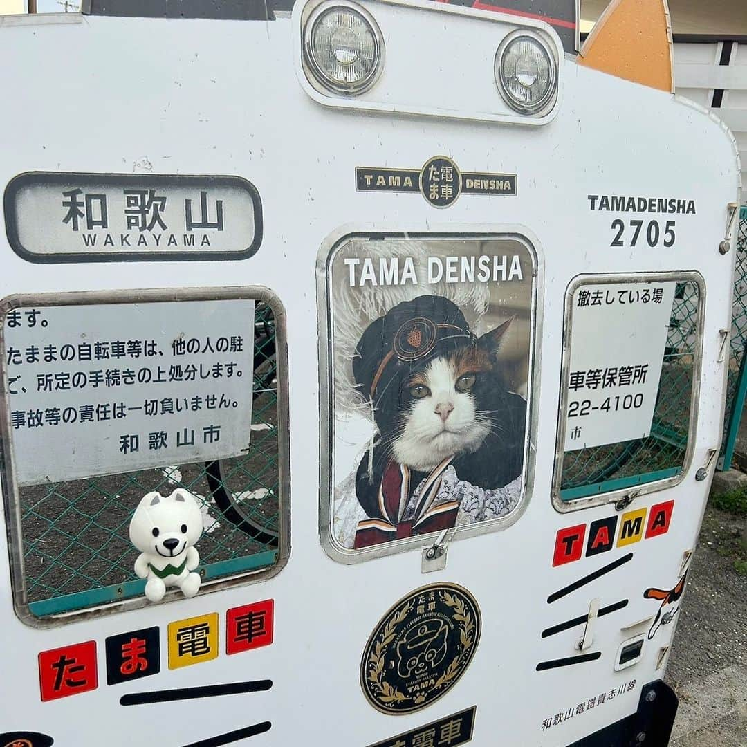 きいちゃんさんのインスタグラム写真 - (きいちゃんInstagram)「. きいちゃん、和歌山電鐵貴志川線の伊太祈曽駅へ行ってきたよ💕  この日は、よんたま駅長がお仕事していたよ🐱🍀 ちょうど休憩中で、ちょっとだけご挨拶できたよ♬  今度はニタマ駅長にも会いたいな！  📸2023年11月4日📸  #和歌山 #和歌山県 #wakayama #和歌山電鐵貴志川線 ＃貴志川線 ＃伊太祈曽駅 ＃よんたま駅長 #きいちゃん #insta_wakayama」11月19日 14時00分 - wakayamapref_pr