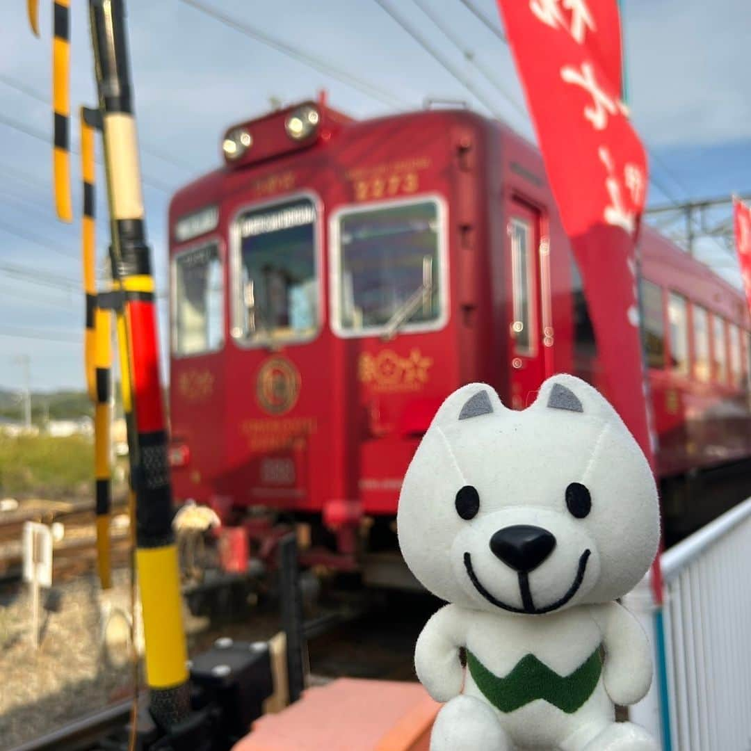 きいちゃんのインスタグラム：「. きいちゃん、和歌山電鐵貴志川線の伊太祈曽駅へ行ってきたよ💕  この日は、よんたま駅長がお仕事していたよ🐱🍀 ちょうど休憩中で、ちょっとだけご挨拶できたよ♬  今度はニタマ駅長にも会いたいな！  📸2023年11月4日📸  #和歌山 #和歌山県 #wakayama #和歌山電鐵貴志川線 ＃貴志川線 ＃伊太祈曽駅 ＃よんたま駅長 #きいちゃん #insta_wakayama」