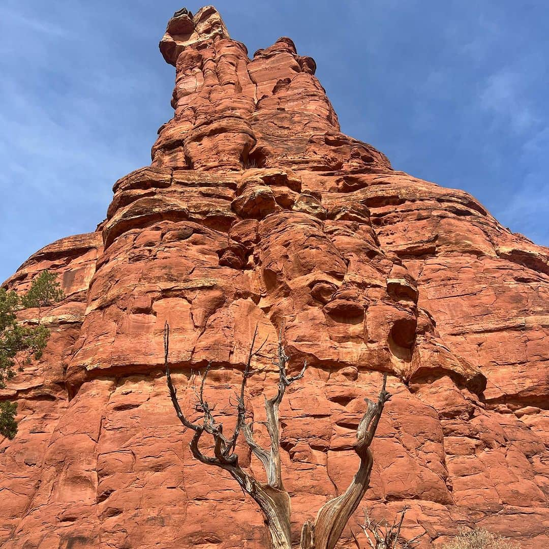 中川聴乃さんのインスタグラム写真 - (中川聴乃Instagram)「Sedona⛰️ 大自然のエネルギーをふんだんに浴びてきました☀️ 最高😆  #アメリカ #アリゾナ #セドナ #世界一のパワースポット #自然デトックス #心身共に整える #自然に癒される」11月19日 14時07分 - nakagawaakino24