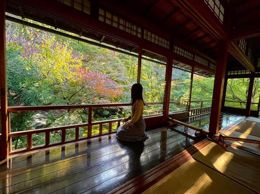 速水里彩さんのインスタグラム写真 - (速水里彩Instagram)「ずっと行きたかった瑠璃光院🍁 紅葉は少し早かったけど 空気が澄んでいてとっても穏やかでした。 平日に行けたのもあって 観光客も少なく、ゆっくりできました  ちょうど今週あたり、見頃なのかなぁ〜🍁  #瑠璃光院 #京都 #紅葉 #東海テレビ　#速水里彩」11月19日 14時30分 - hayami.risa