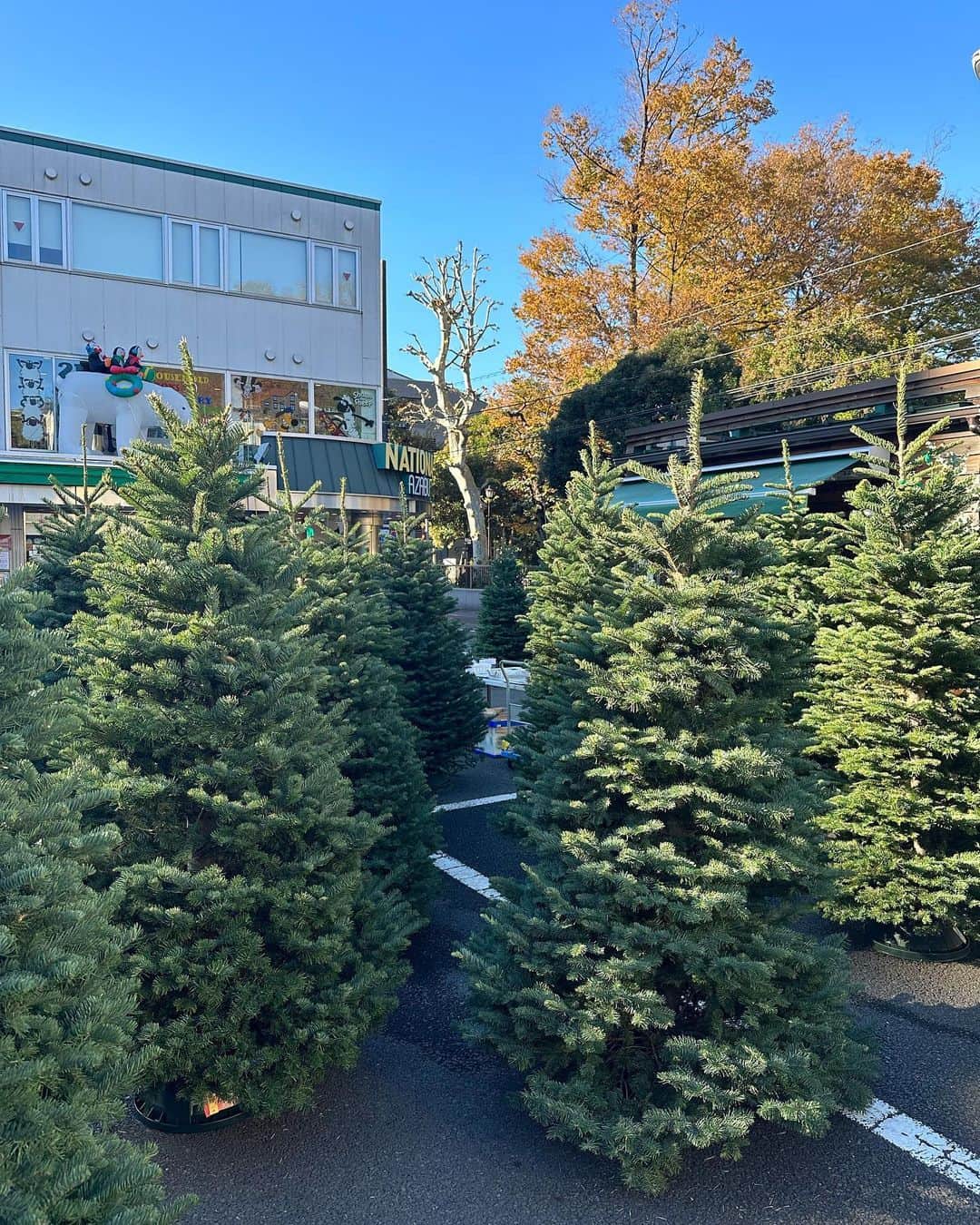 のインスタグラム：「merychristmas」