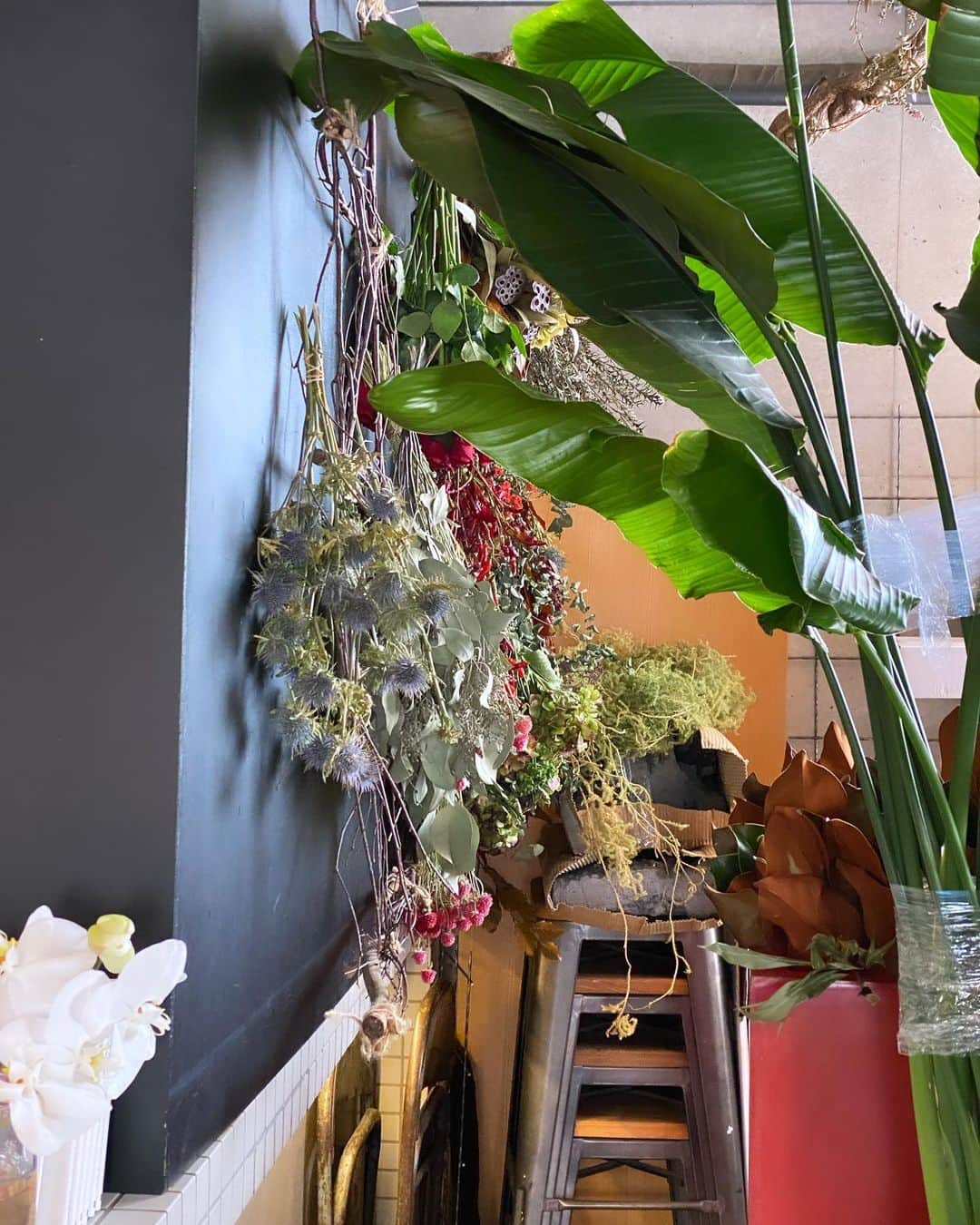 akkoさんのインスタグラム写真 - (akkoInstagram)「お花屋さんに行ったら、 奥のほうにめっちゃ可愛いスペースが😍🌷 売れ残りの植物をドライフラワーにしてるとのこと☺️ こっそりやってるって、、 可愛くて目立ってますけど💓笑 エアプランツのディスプレイも可愛かった😊💖 #akko #akkostagram #mll」11月19日 15時03分 - mllakko