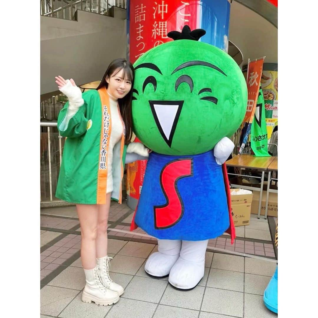 小泉みゆきさんのインスタグラム写真 - (小泉みゆきInstagram)「さてお次は、徳島県からお越しのすだちくん。徳島県ともアンテナショップを共通させていて、東京交通会館1階に『トモニ市場』があります。  また大きな共通項としては、和三盆の生産地！この2県のみです。 さとうきびは沖縄と思っていらっしゃる方も多いと思いますが、品種が違っていて。  地元の在来種、イネ科の『竹糖』を使用。 香川県東かがわ市引田 、徳島県板野郡、徳島県阿波市と、四国でも一部の地域でしか栽培されておらず、大変希少。 『お盆の上で3回研ぐ』と言われていて、手間暇かかった高級砂糖。京都の和菓子屋さんのほとんどもこれらを取り寄せて、製菓しています😌  上品な甘さとすっきりした後味。 木型でいろんな形に固められたデザインを眺めながら食べるのも優雅🌸  最近はモダンなデザインも出てきていて、お土産やさんに行くと沢山並んでいるので選ぶのが楽しい🙂 #徳島県」11月19日 14時59分 - koizumimiyuki