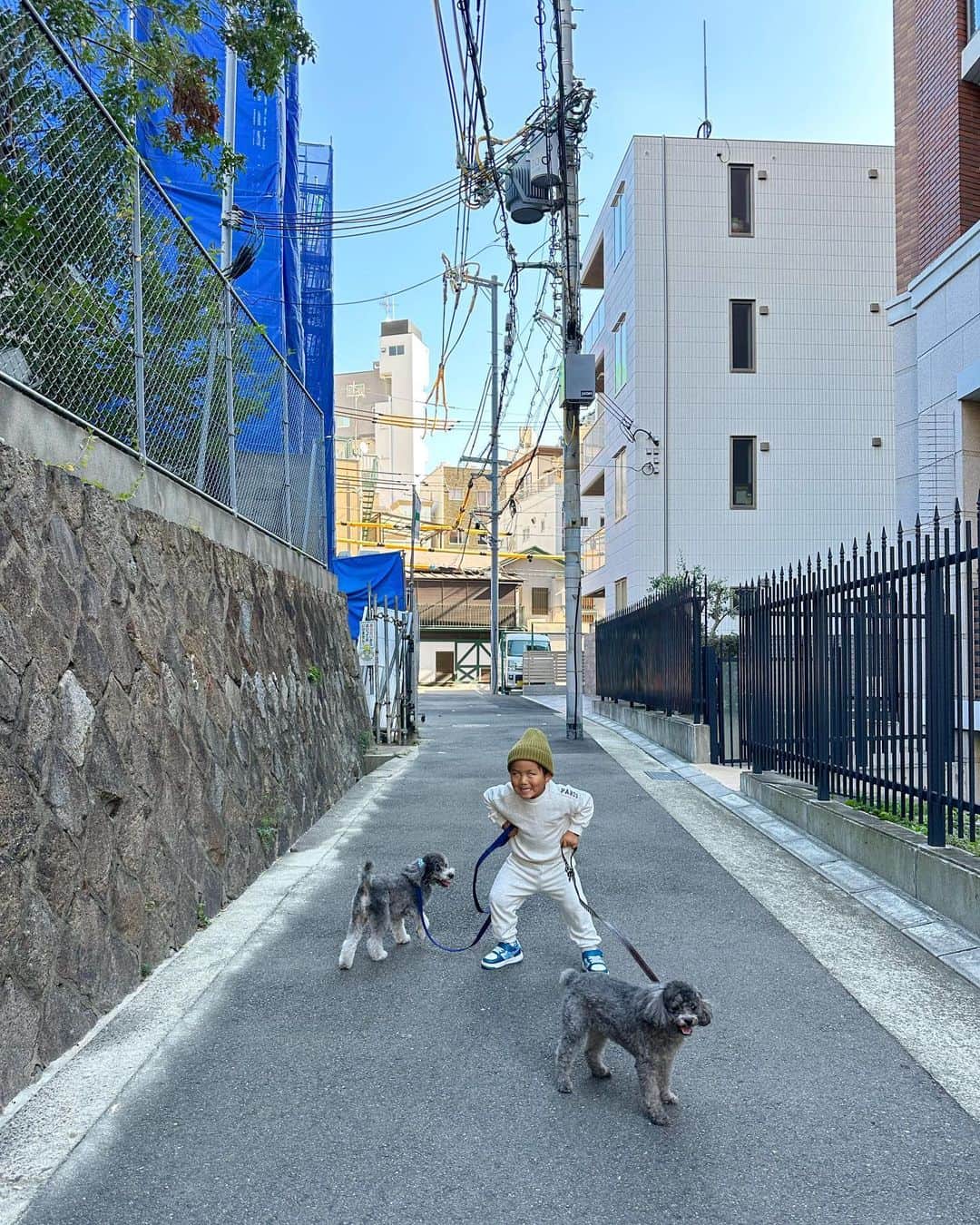 Mai Wakimizuさんのインスタグラム写真 - (Mai WakimizuInstagram)「今日はハンバーガーlunch♡ @tan__0212がお勧めされていたのを見て行ってきました！お散歩がてら早めに行こー！とopenの15分前に着くと既に3.4組並んでいて慌てて並んだ。笑 店内はワンちゃんもokで、大人2子ども2犬2の大家族で頂きました♡笑 お店の看板メニュー、山椒バター磯辺バーガー♡バーガーも美味しかったけどポテトがめちゃくちゃ好き！ハンバーガーからこぼれ落ちるソースにディップするのが最高だった＼(^o^)／ 2枚目、lunch前に参拝した生田神社のゲーム景品でもらったお面姿の息子。笑 #wakkingourmet#hyoesburgersnfries#ハンバーガー#神戸 #3歳4ヶ月#3歳男の子#愛犬カプリ#愛犬ラルフ#犬のいる暮らし」11月19日 15時25分 - wakkin__m